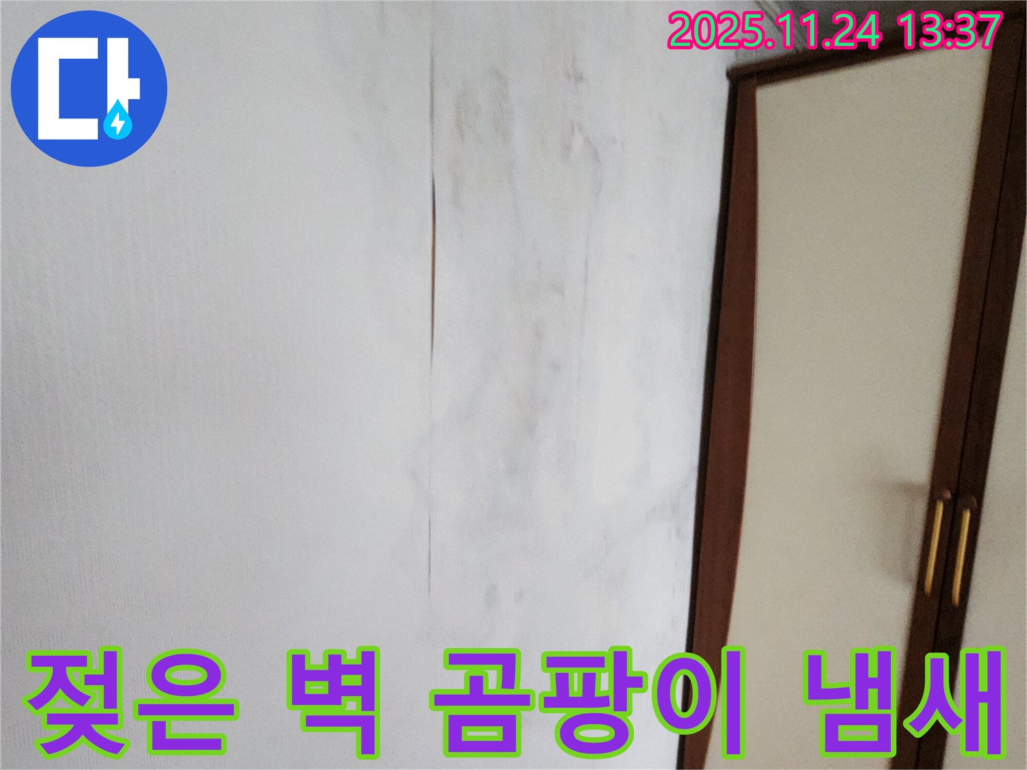 젖은 벽 - 곰팡이 - 퀴퀴한 냄새 - 누수 3박자