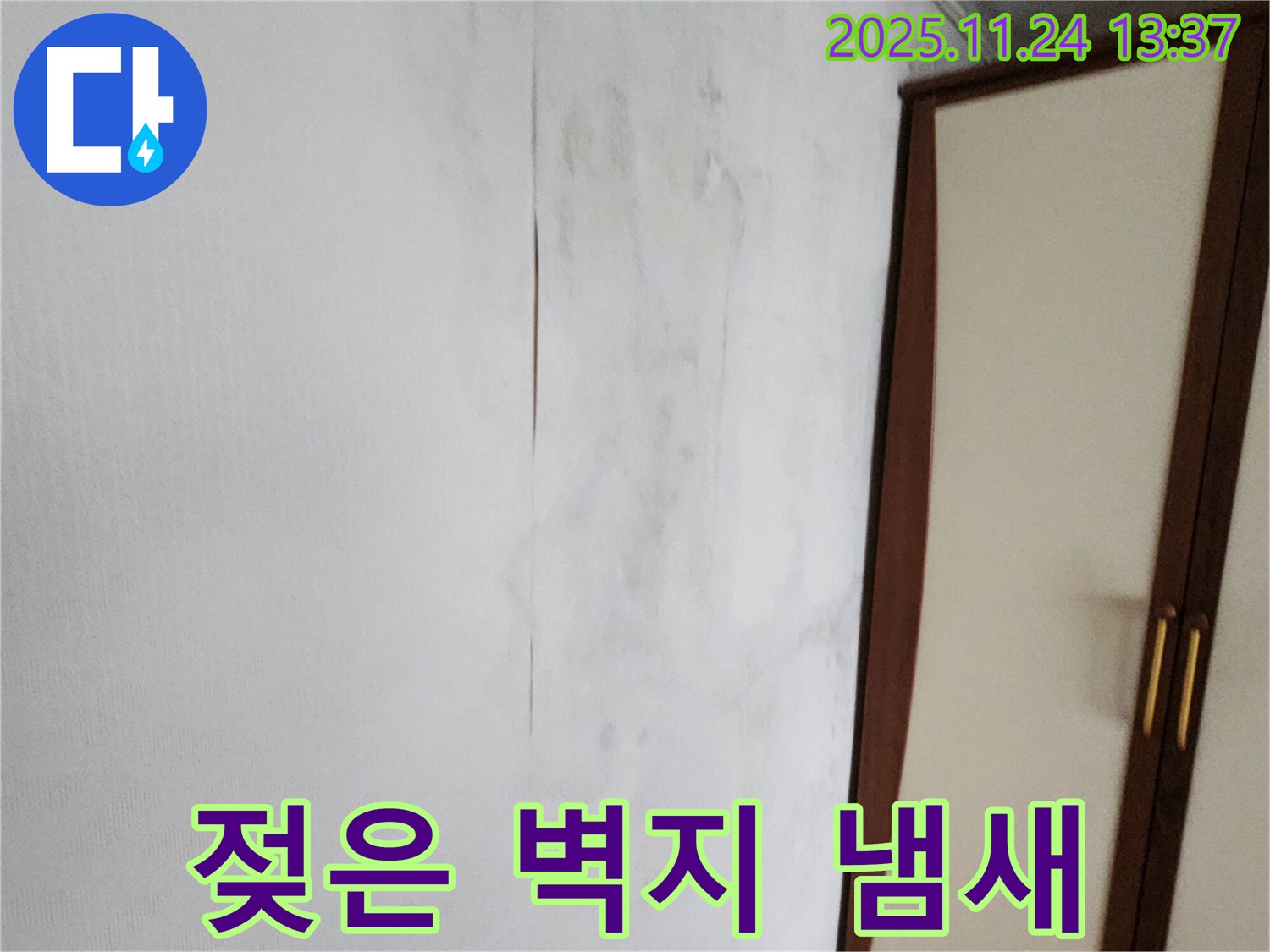 젖은 벽지 - 곰팡이 냄새 - 누수 긴급