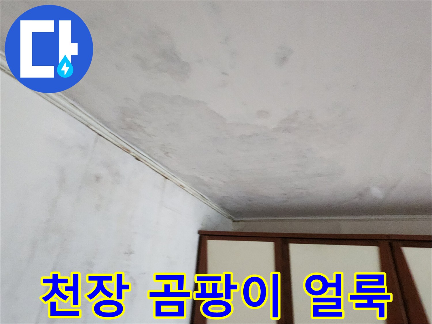 천장-벽면-상단에-퍼진-곰팡이와-물자국-현상