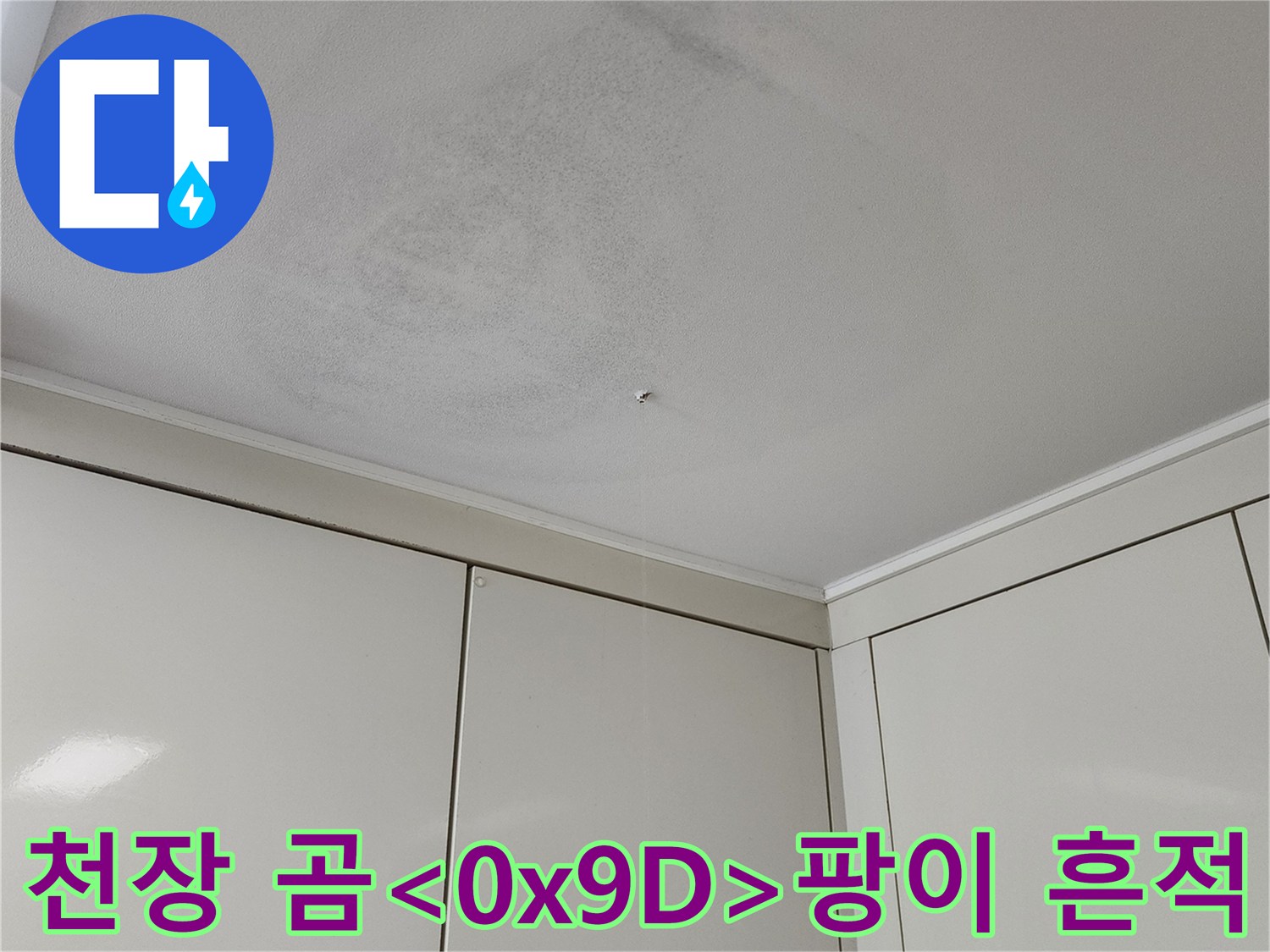 천장 벽면에 나타난 곰팡이와 습기로 인한 변색 부위