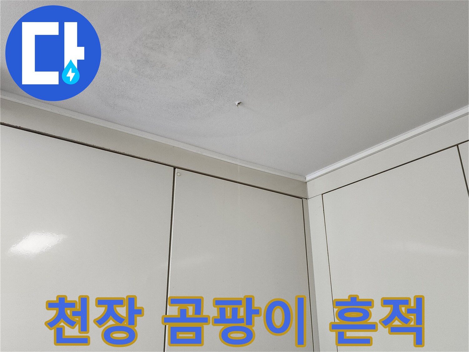 천장 상단 벽면의 곰팡이 및 물자국 발생