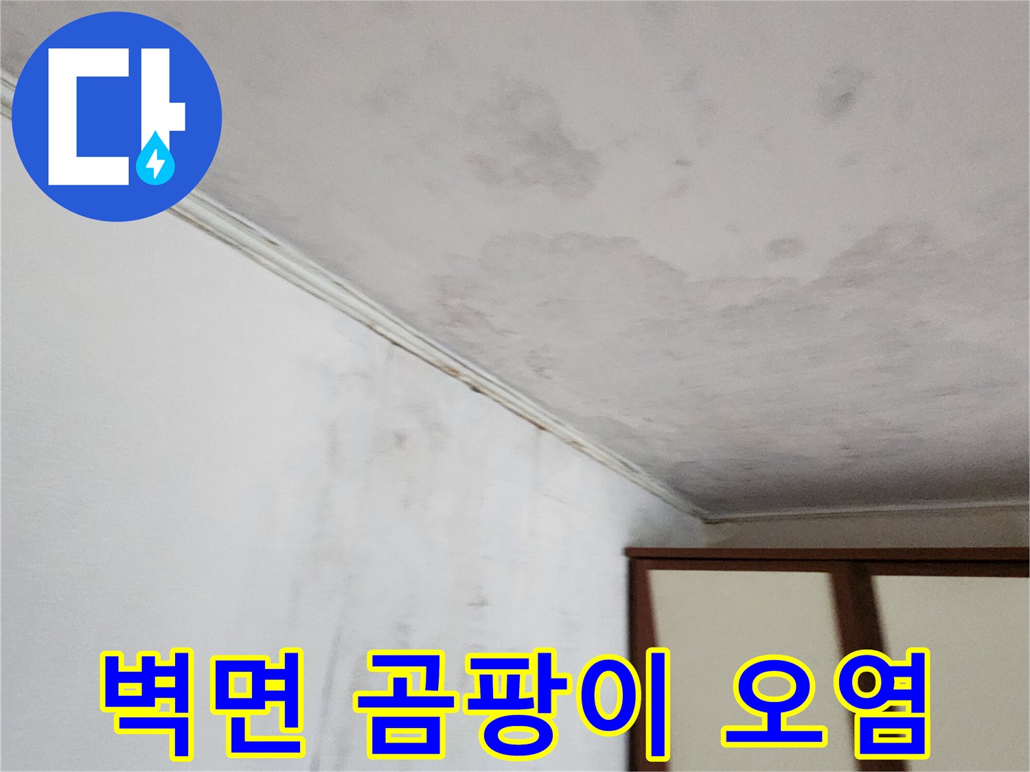 천장과 벽면 경계의 곰팡이 및 물샘 흔적