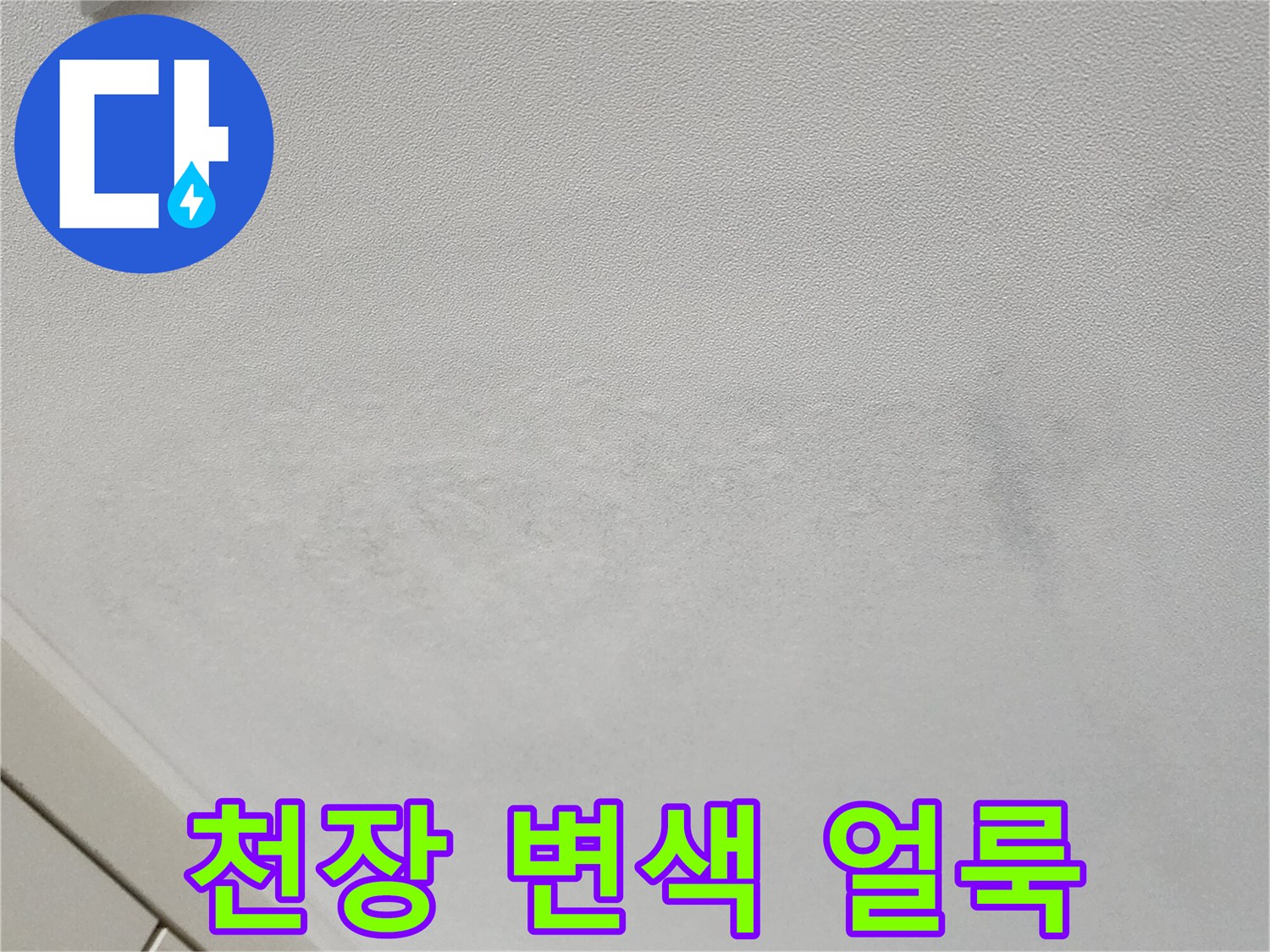 축축하게 젖은 듯한 천장 벽지의 얼룩 부위