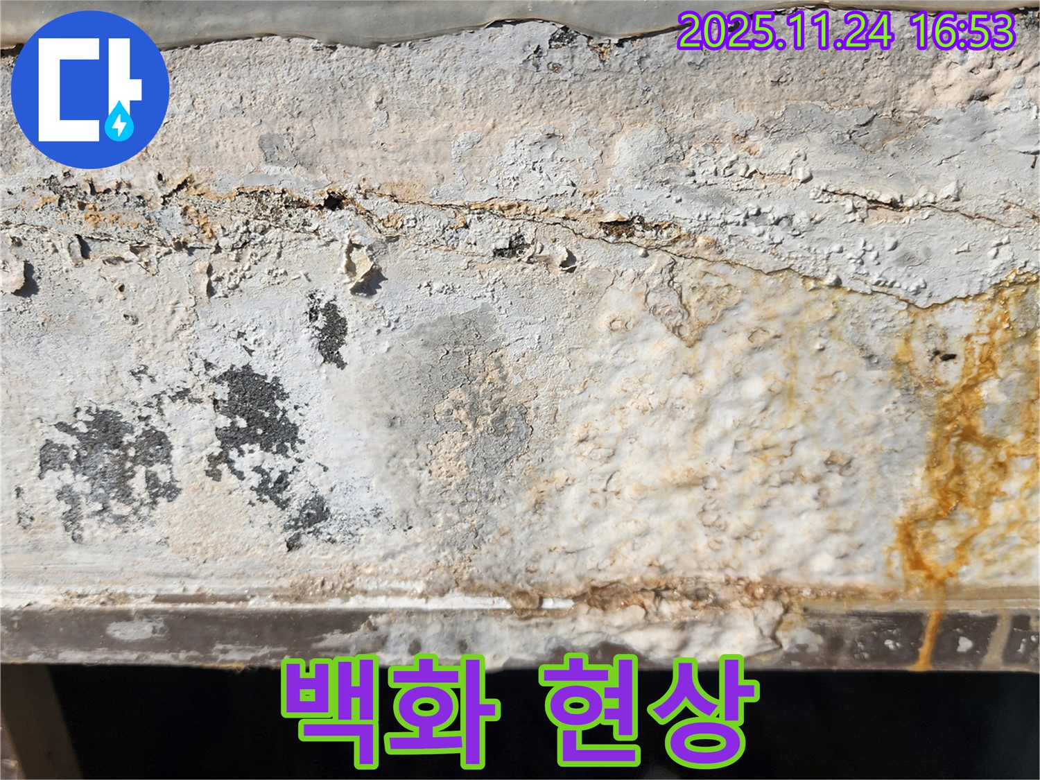 외벽 백화 - 누수 초기 증상 - 조기 진단