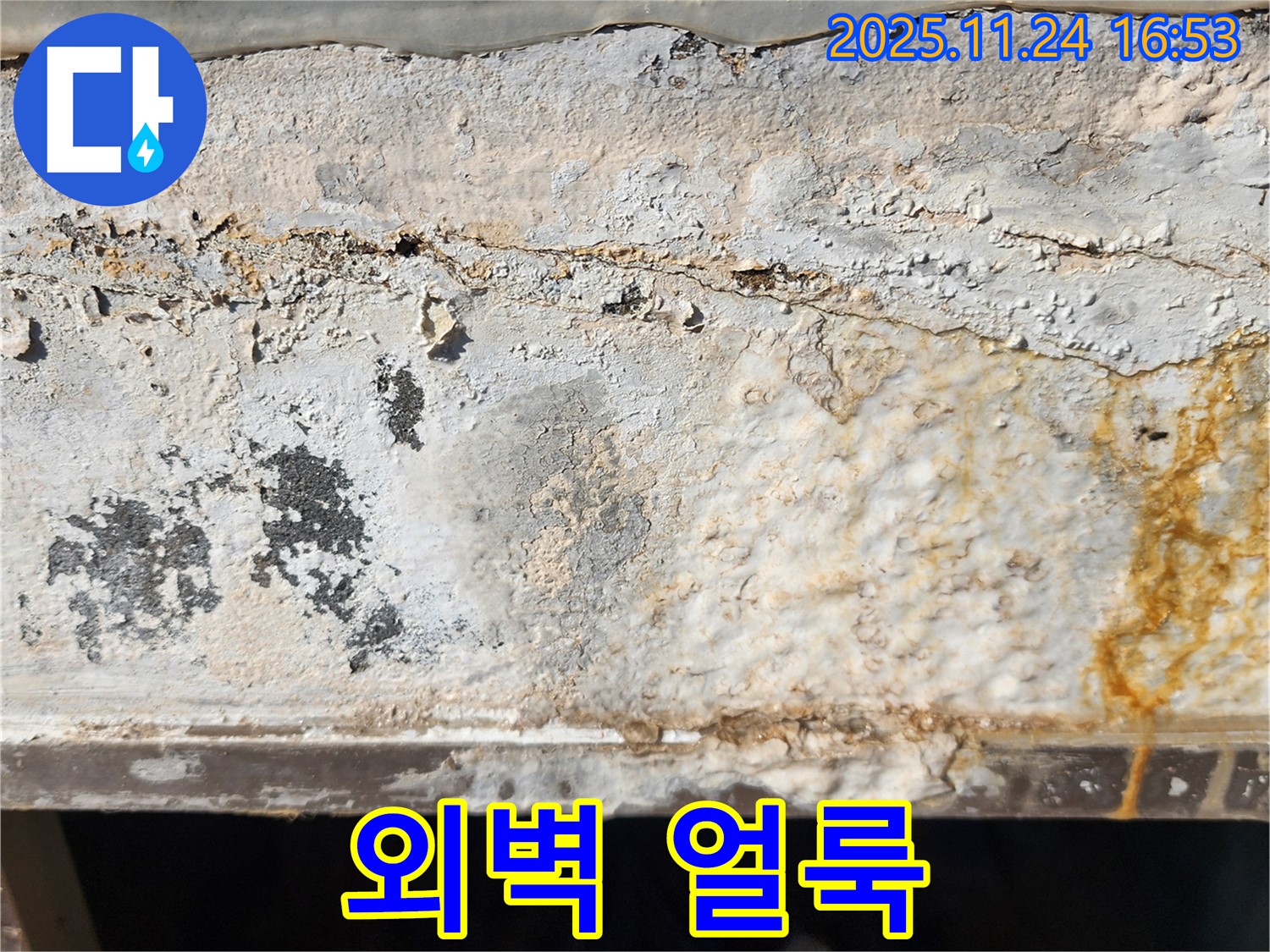 외벽 얼룩 - 곰팡이 발생 - 건강 위협