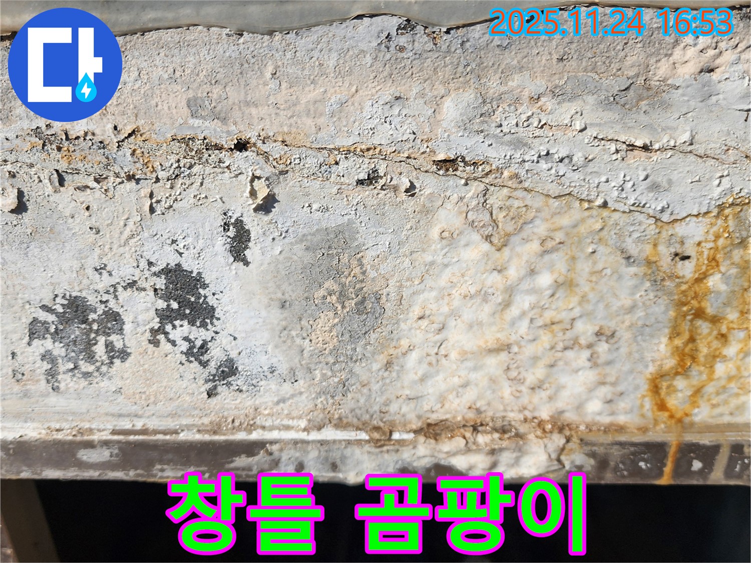 창틀 곰팡이 - 실내 습도 증가 - 건강 위협