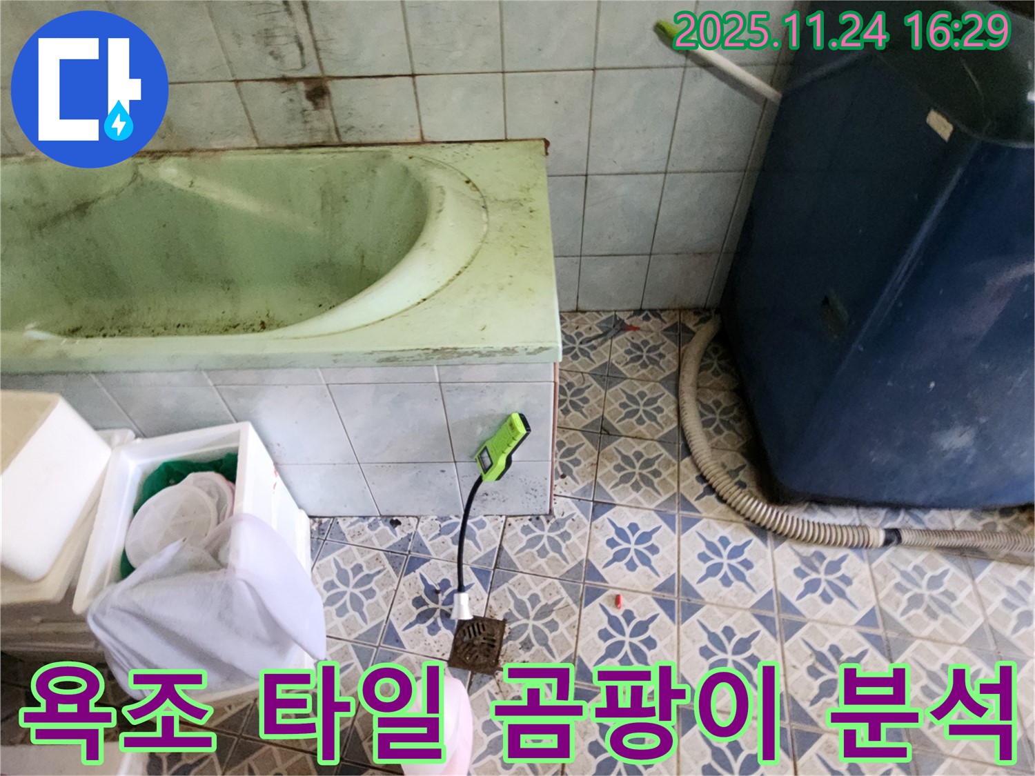 포천 신북면 욕조 주변 타일 곰팡이 - 누수와의 연관성을 정밀하게 분석하고 있습니다.
