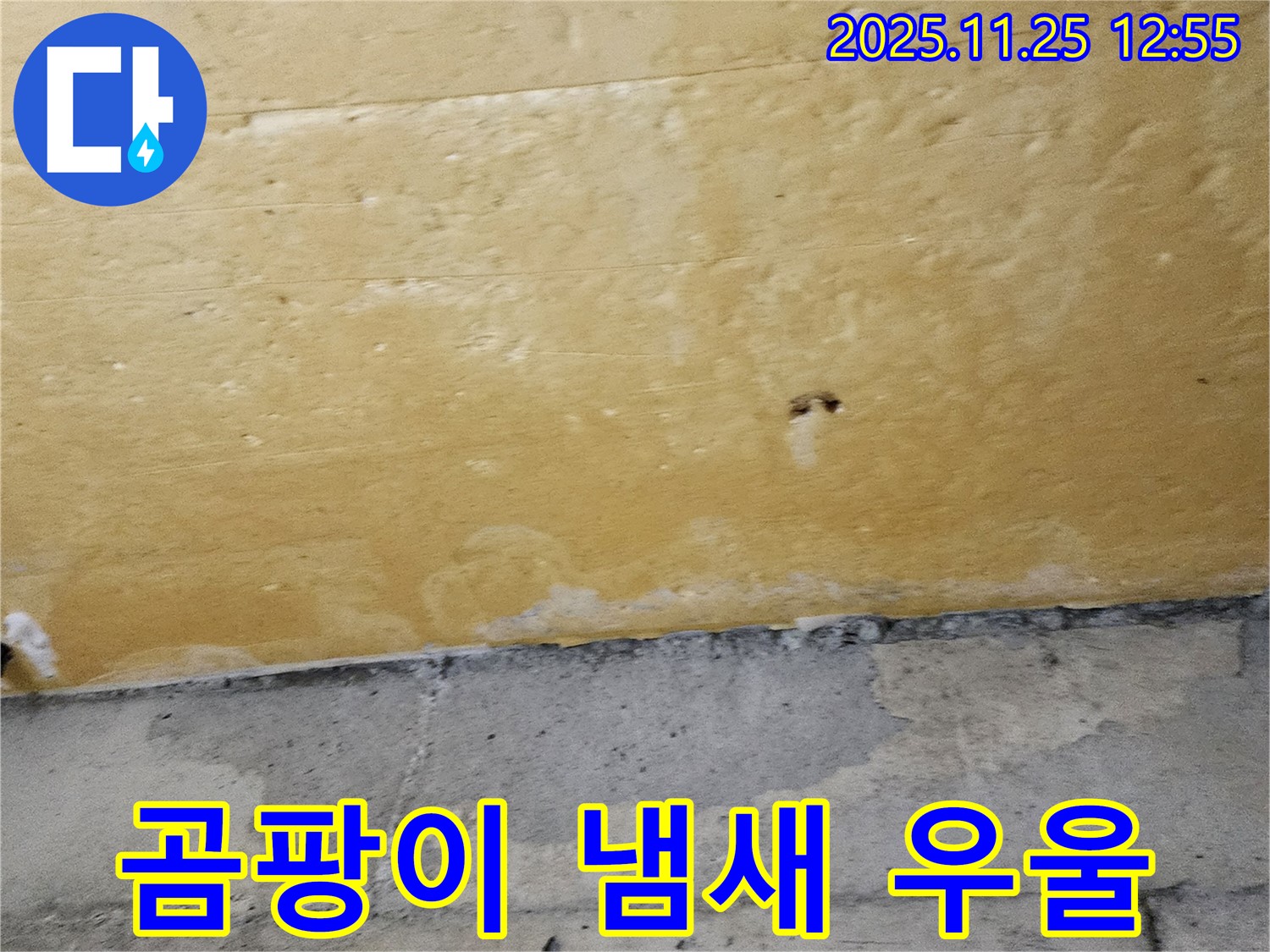 곰팡이 냄새 - 우울증 유발 - 심리적 악영향