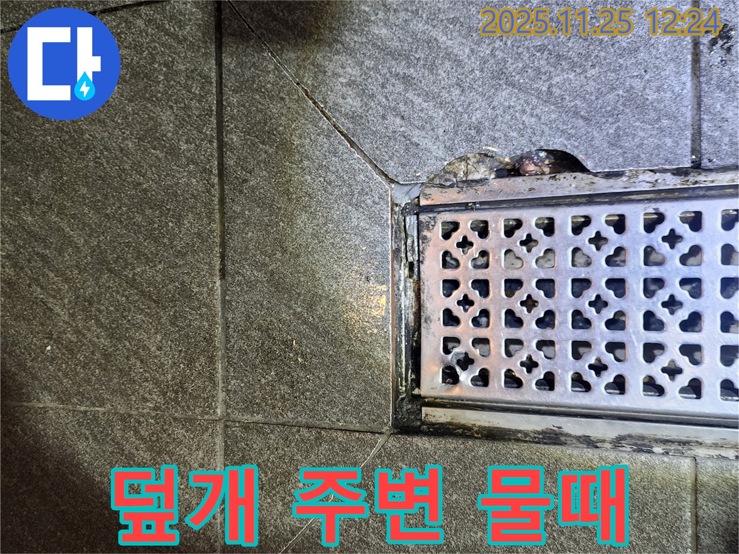 배수구 덮개 주변 물때 제거 - 깨끗하고 위생적인 욕실