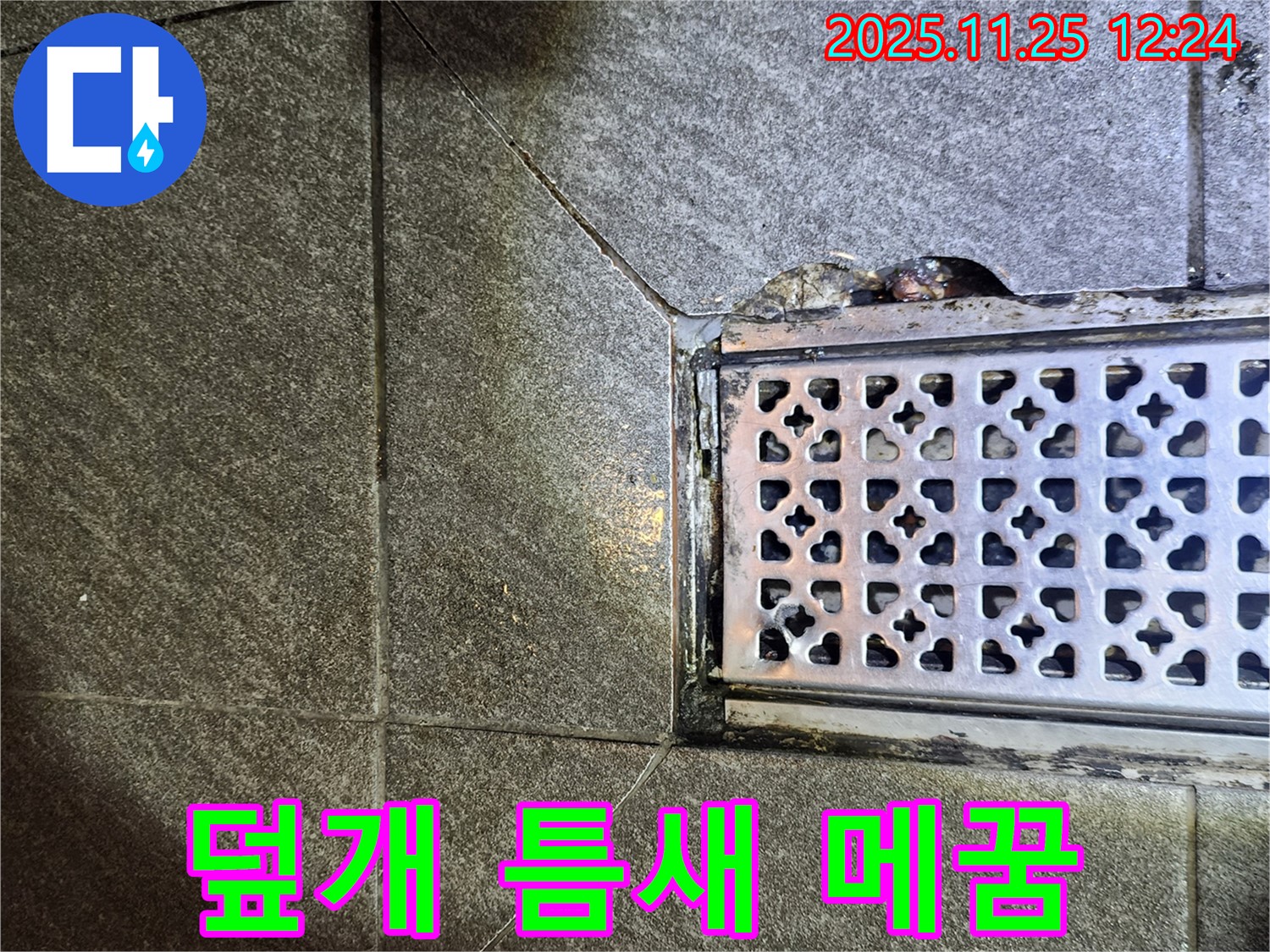 배수구 덮개 틈새 메우기 - 꼼꼼한 실리콘 시공