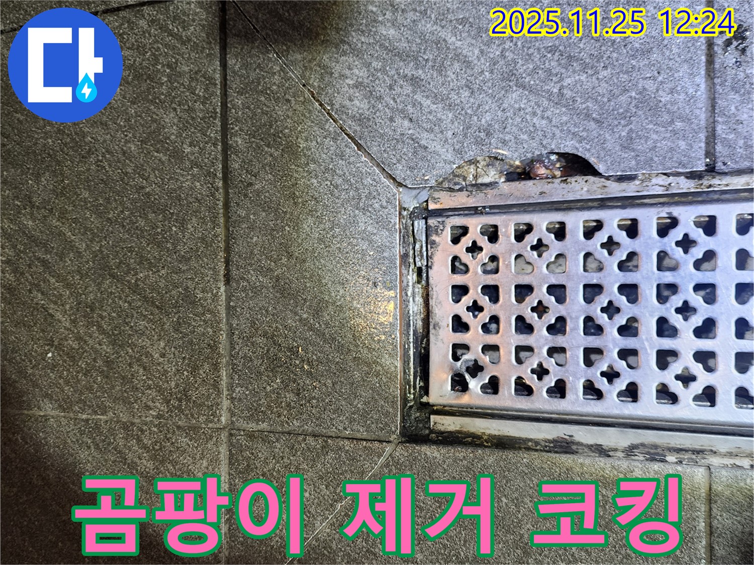 배수구 주변 곰팡이 제거 후 항균 실리콘 코킹 - 깨끗하고 쾌적하게
