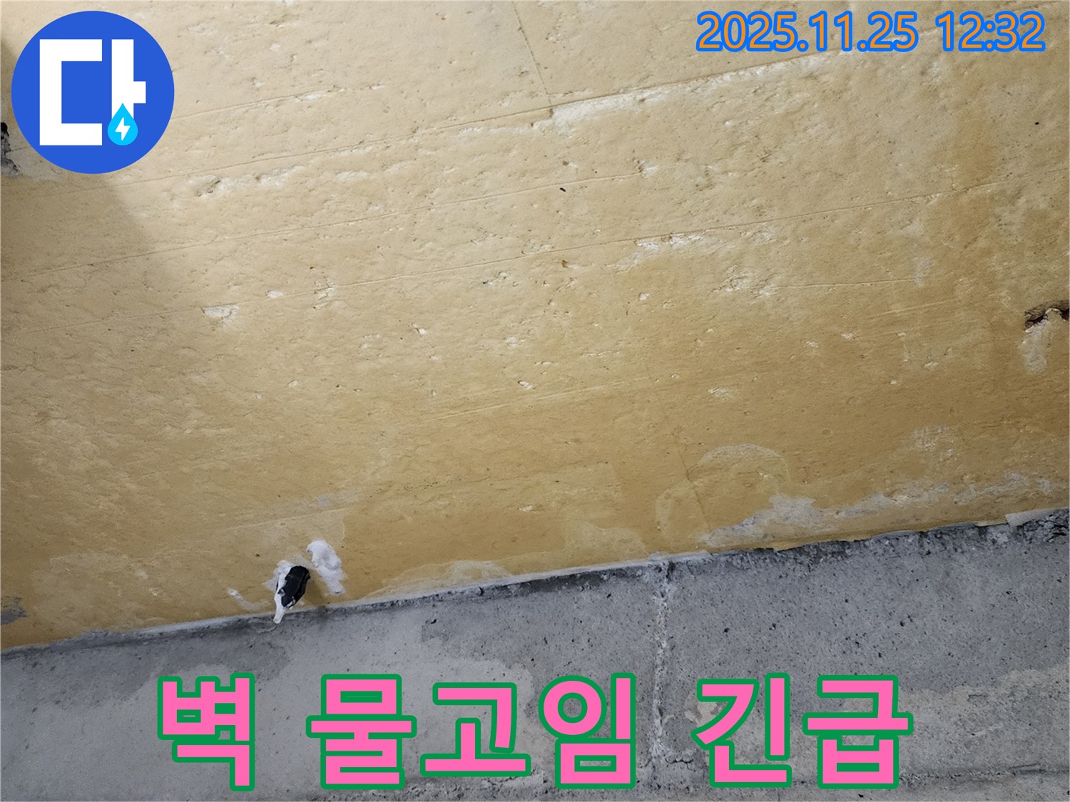 벽 물고임 - 긴급 누수 - 즉시 조치 필요