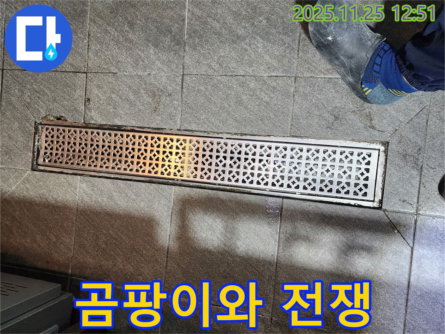 식당 트렌치 누수 - 트렌치 주변 곰팡이와의 전쟁