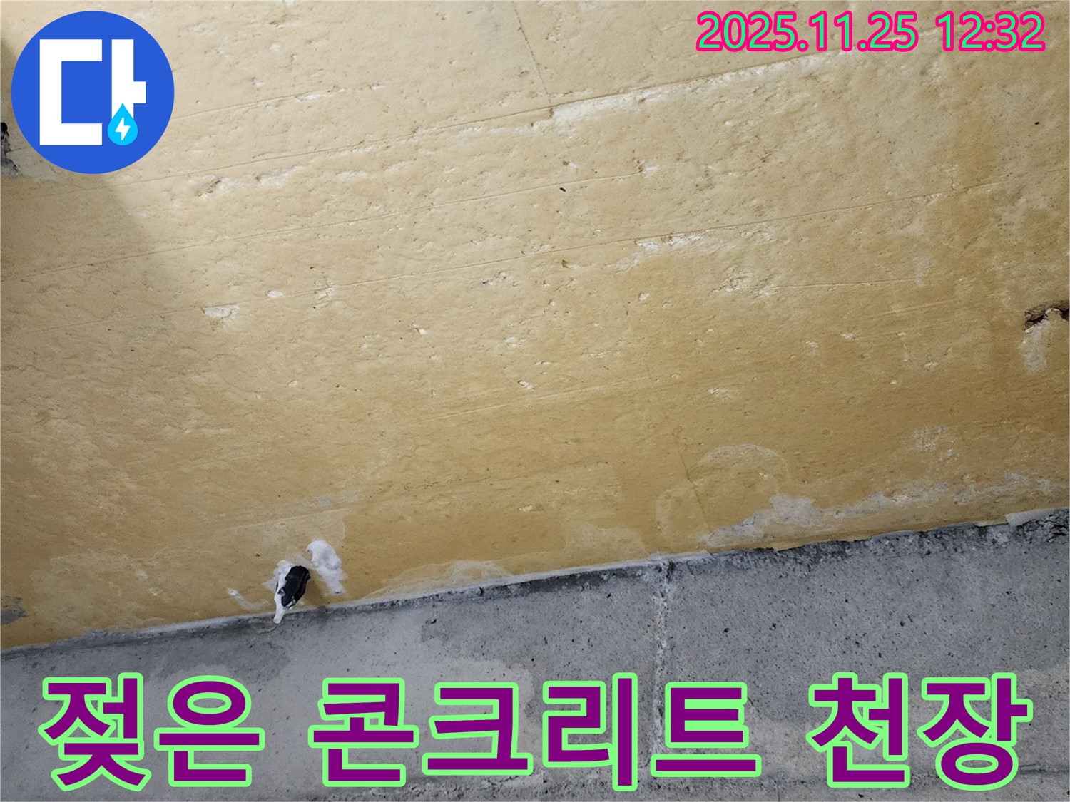젖은 콘크리트 천장 - 누수 발생 - 건물 손상