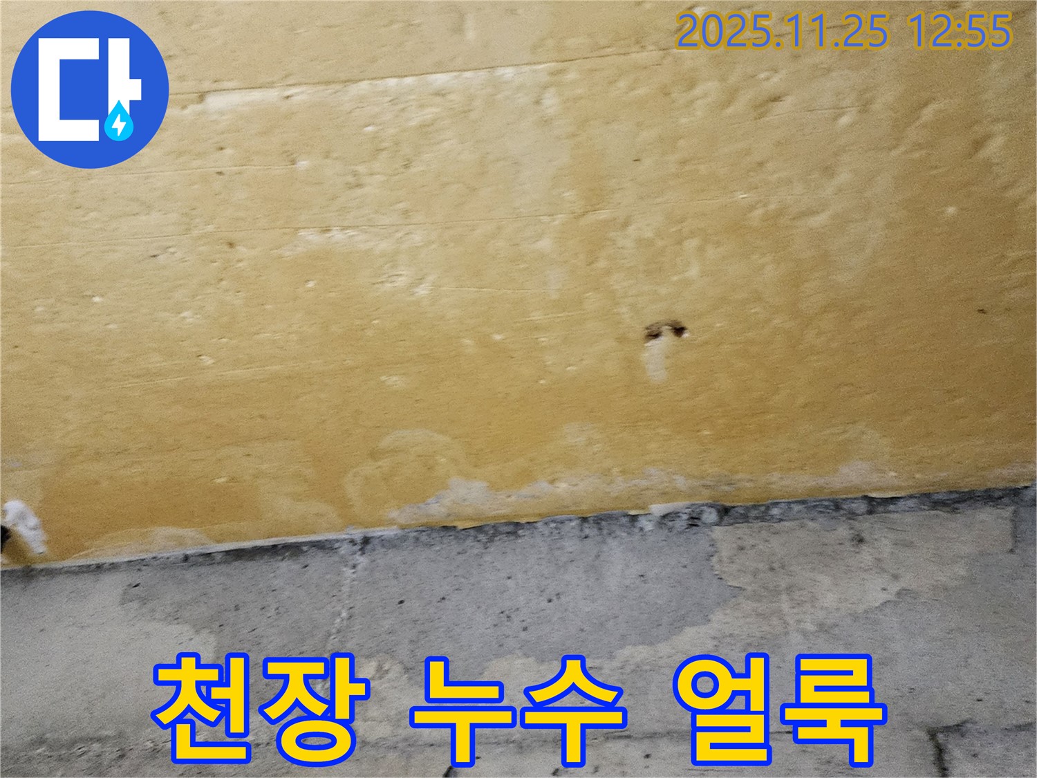천장 누수 얼룩 - 물 자국 - 지속적인 누수 의심