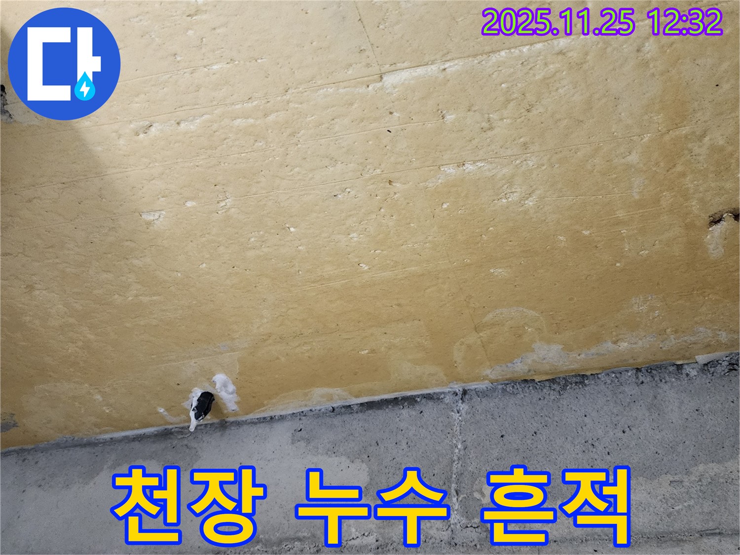 천장 누수 - 젖은 콘크리트 - 누수 피해
