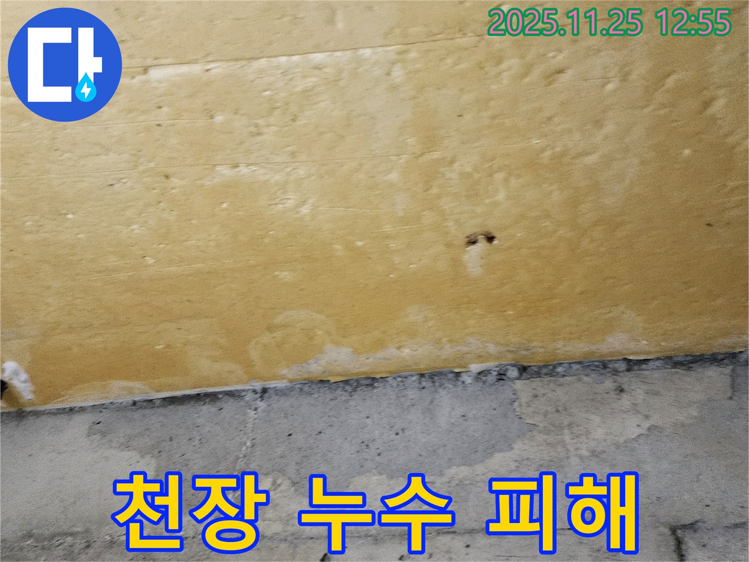 천장 누수 피해 - 2차 손상 우려 - 빠른 대처 중요