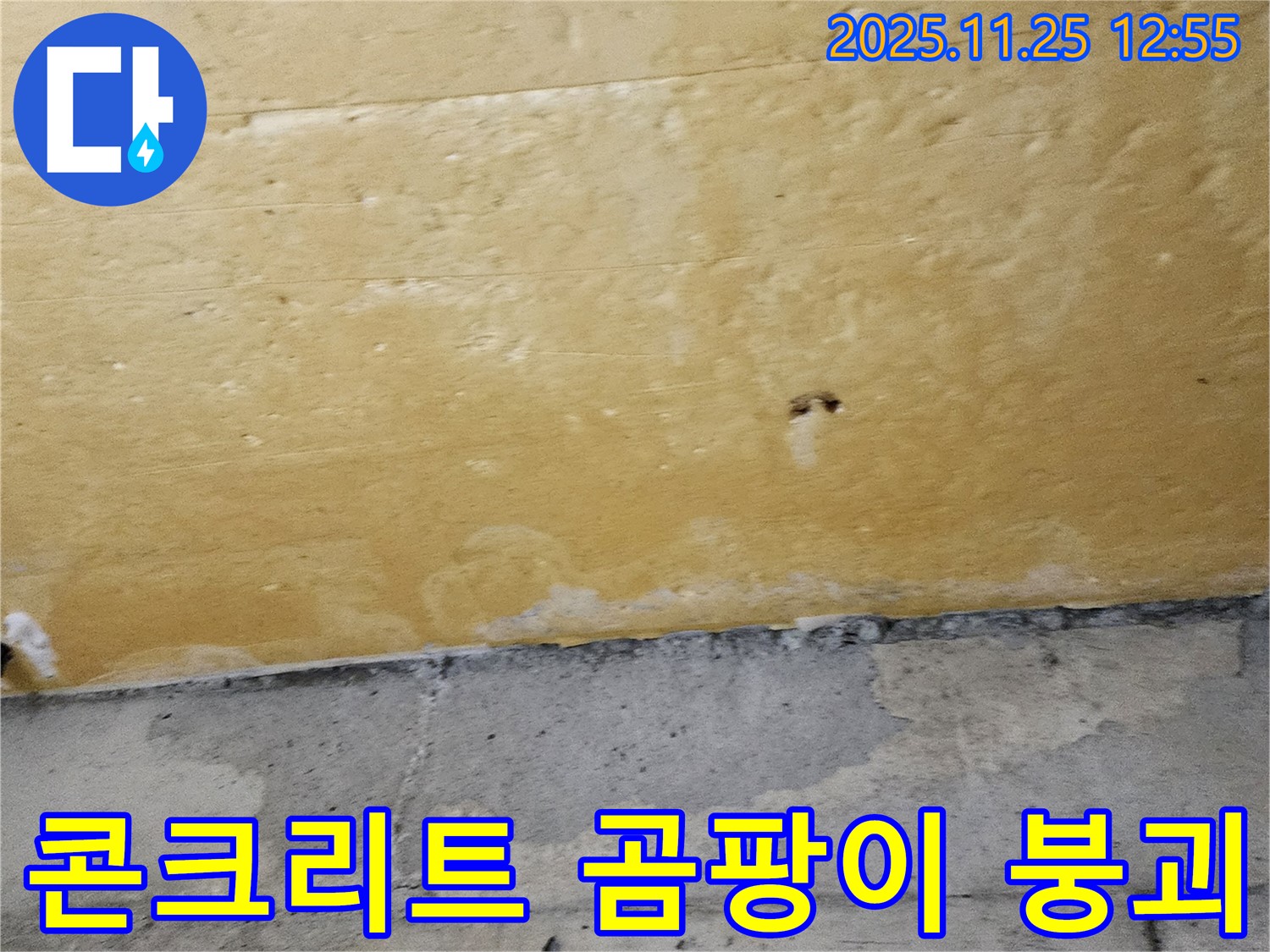 콘크리트 곰팡이 - 붕괴 시계 - 긴급 점검