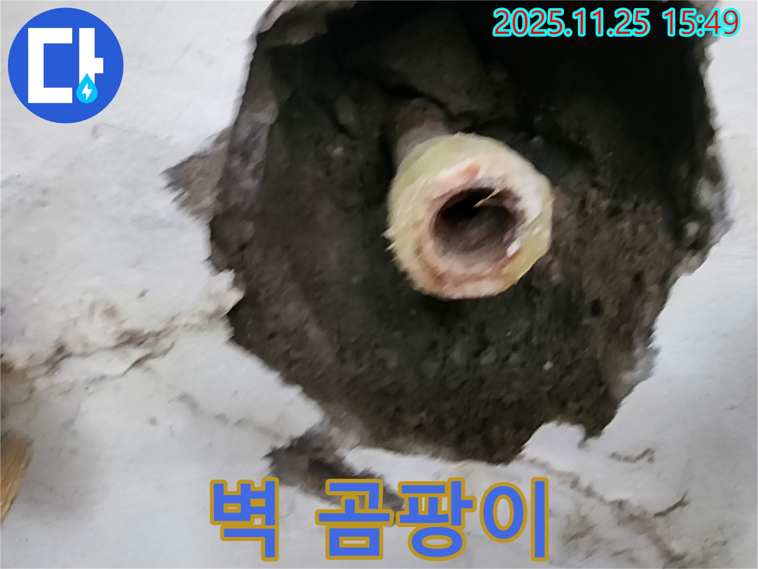 벽 곰팡이 - 누수의 결과