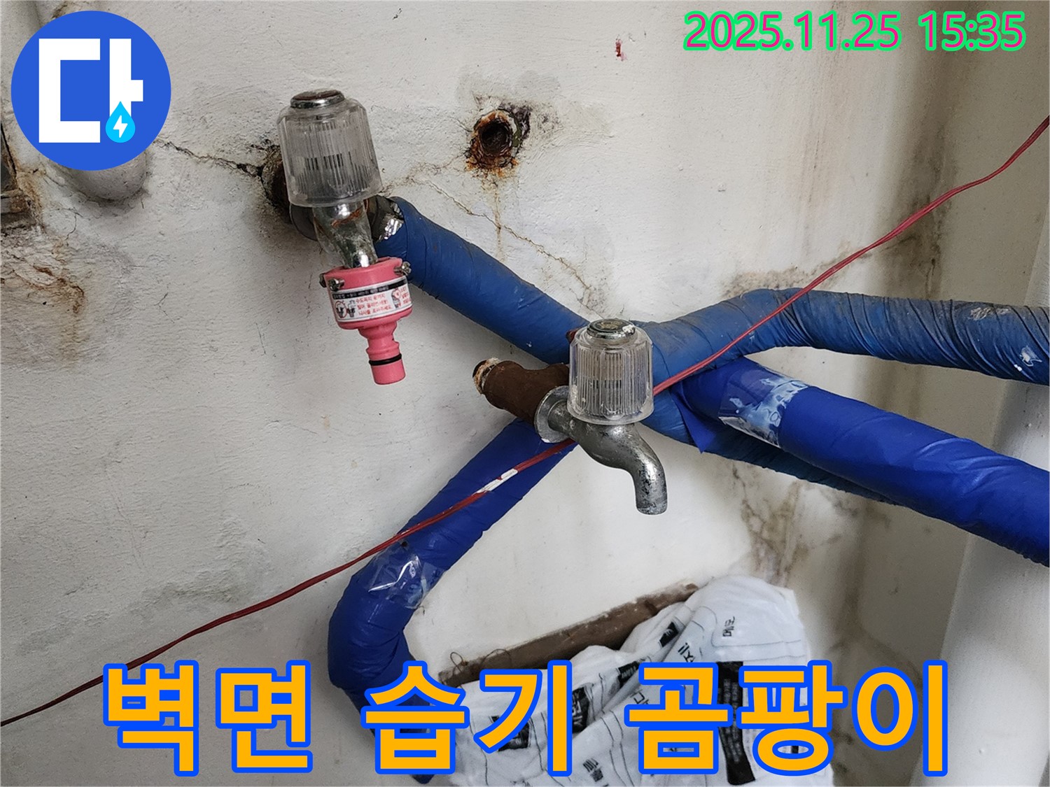포천시 신북면 만세교리 - 벽면 습기와 곰팡이 발생 원인 진단, 누수 여부 확인 작업