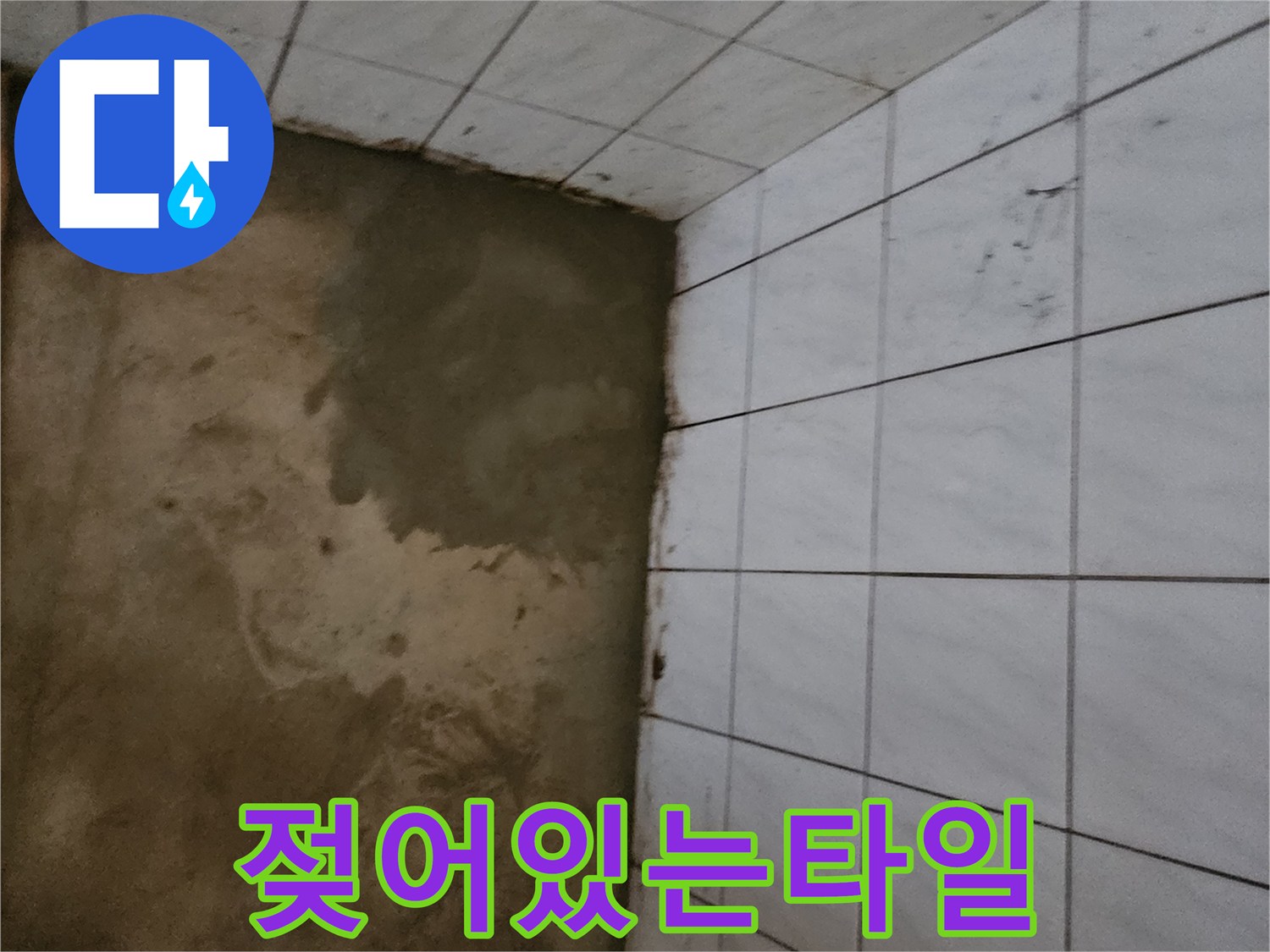 물기가-스며든-하얀색-욕실-타일