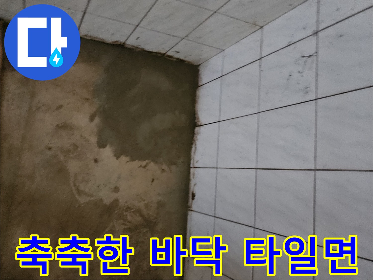 습기가 올라온-타일 하단부와 젖은 바닥 모습