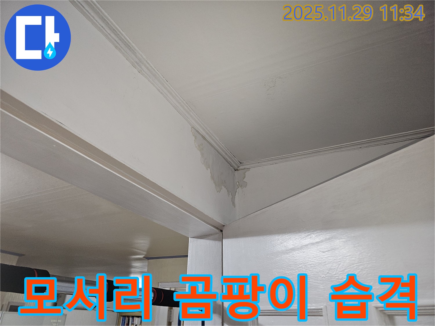 광탄 천장 누수 - 모서리 곰팡이 습격, 쾌적한 공간 되찾기 프로젝트!