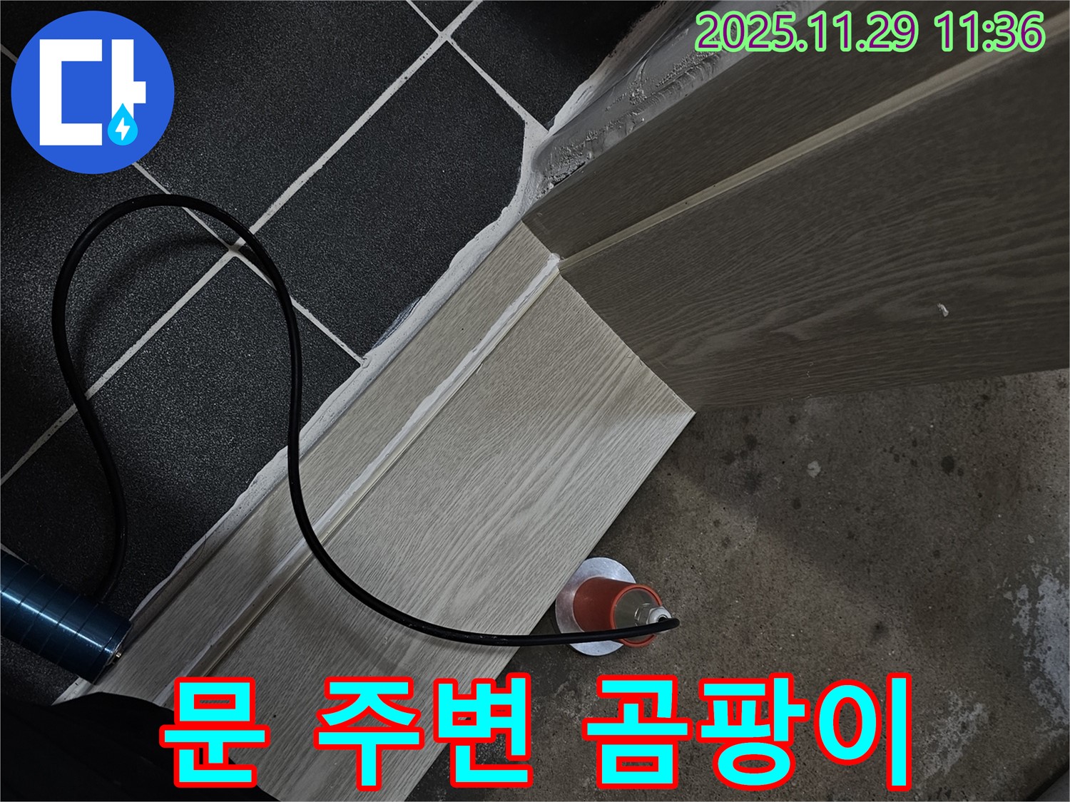 문 주변 곰팡이 - 전문가에게