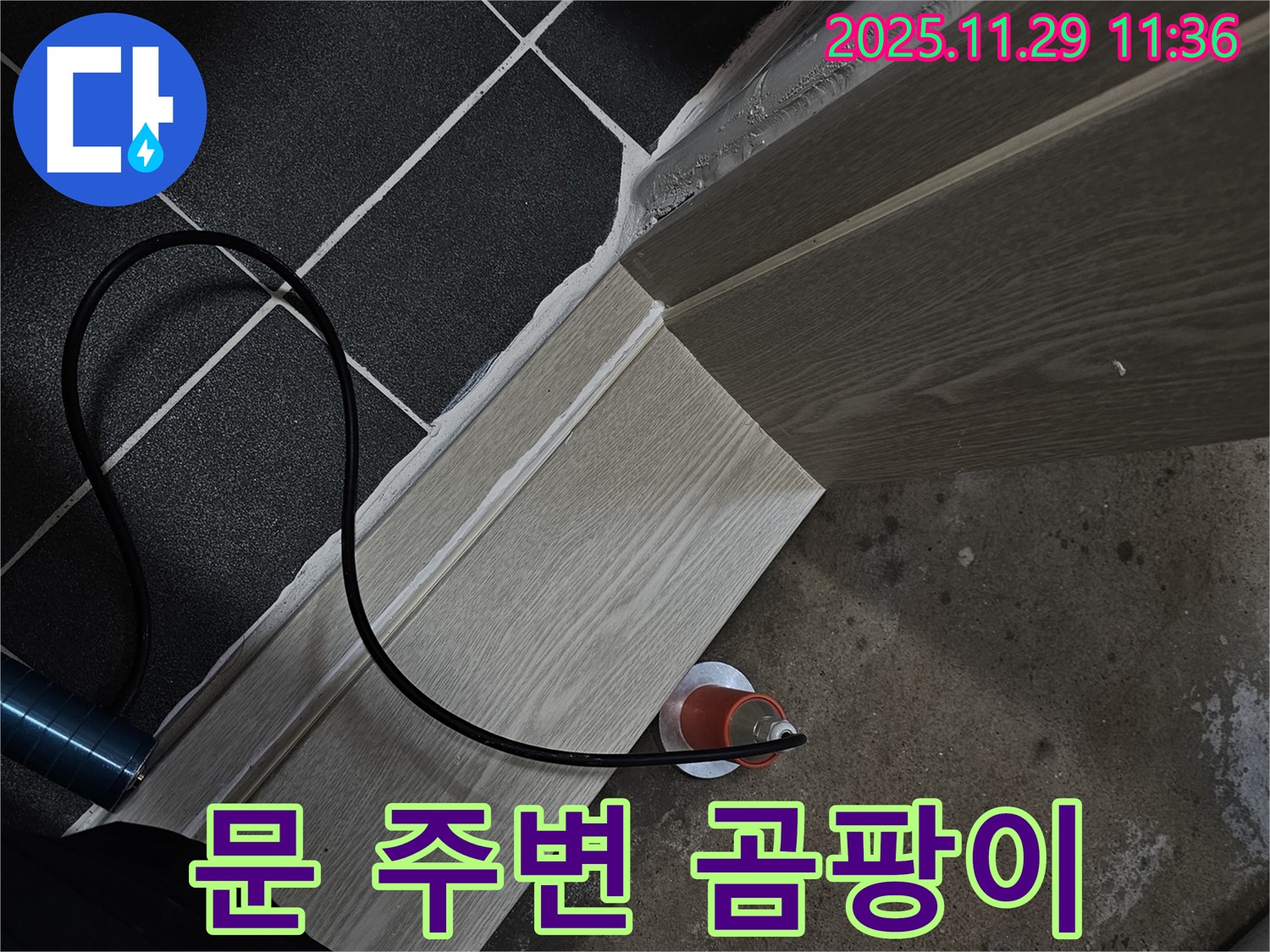 문 주변 곰팡이 - 전문가에게