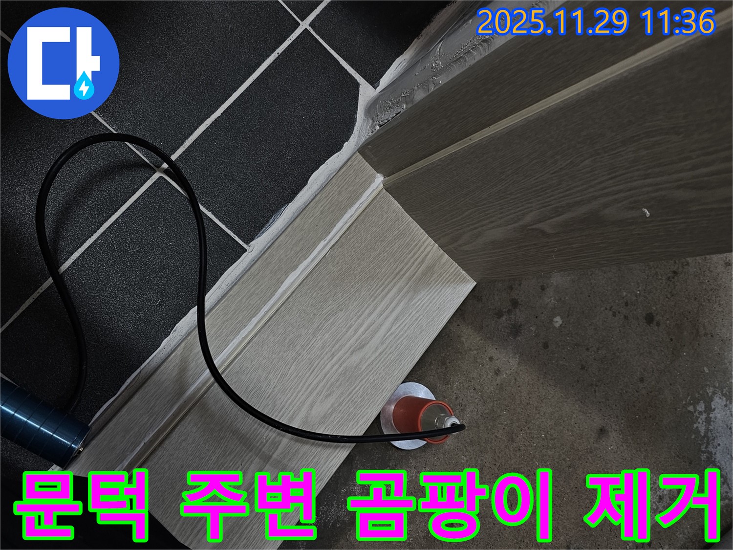문턱 주변 곰팡이 제거 - 파주 누수 전문가!