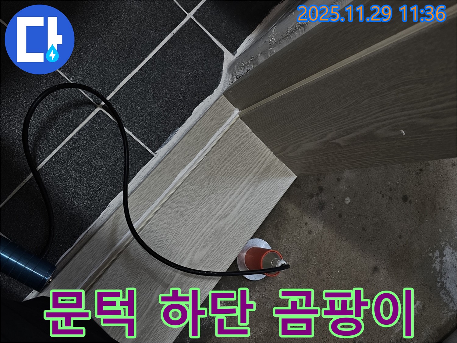 문턱 하단 곰팡이 - 누수 해결 전문가