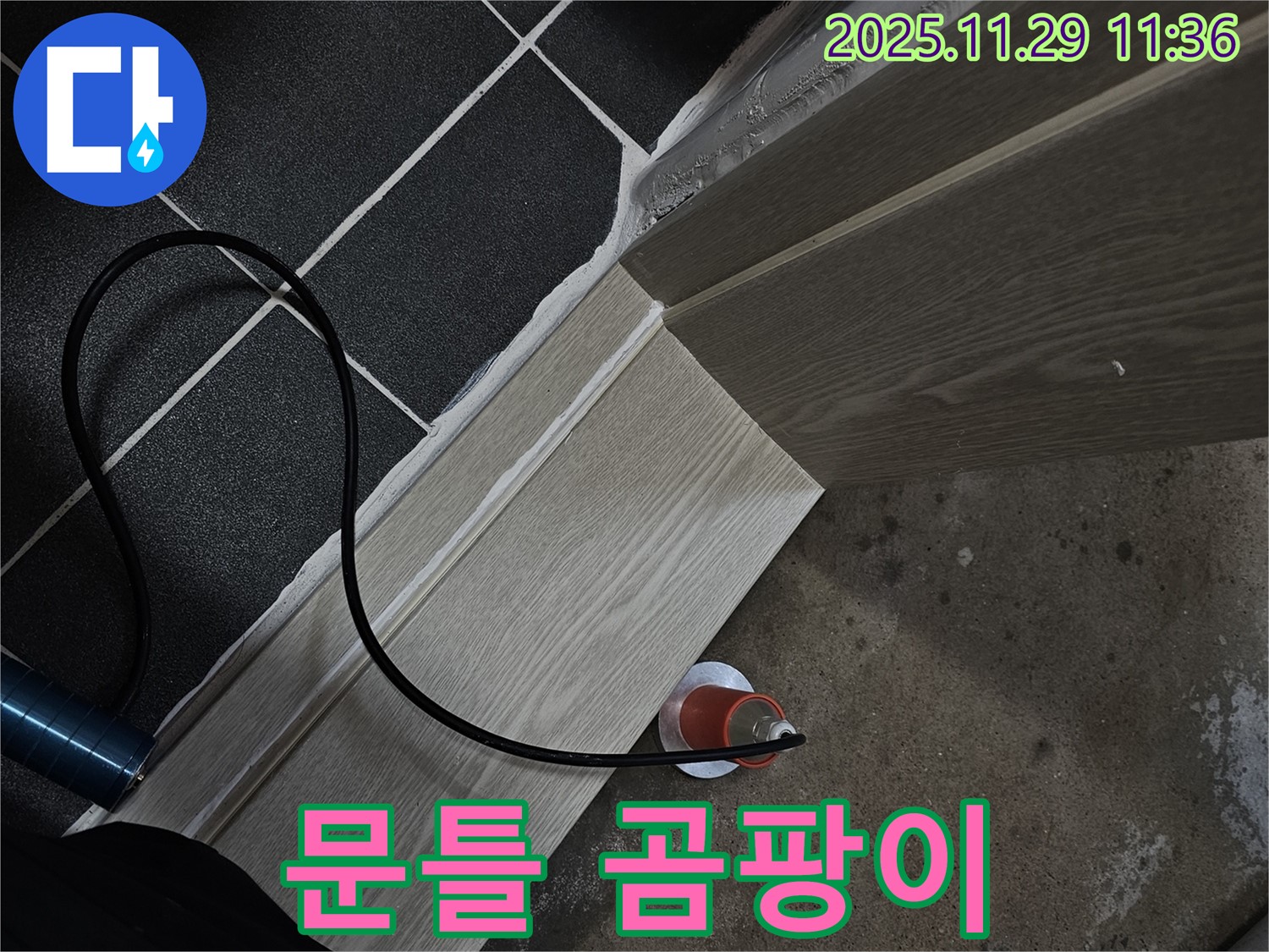 문틀 곰팡이 - 전문가에게 맡기세요