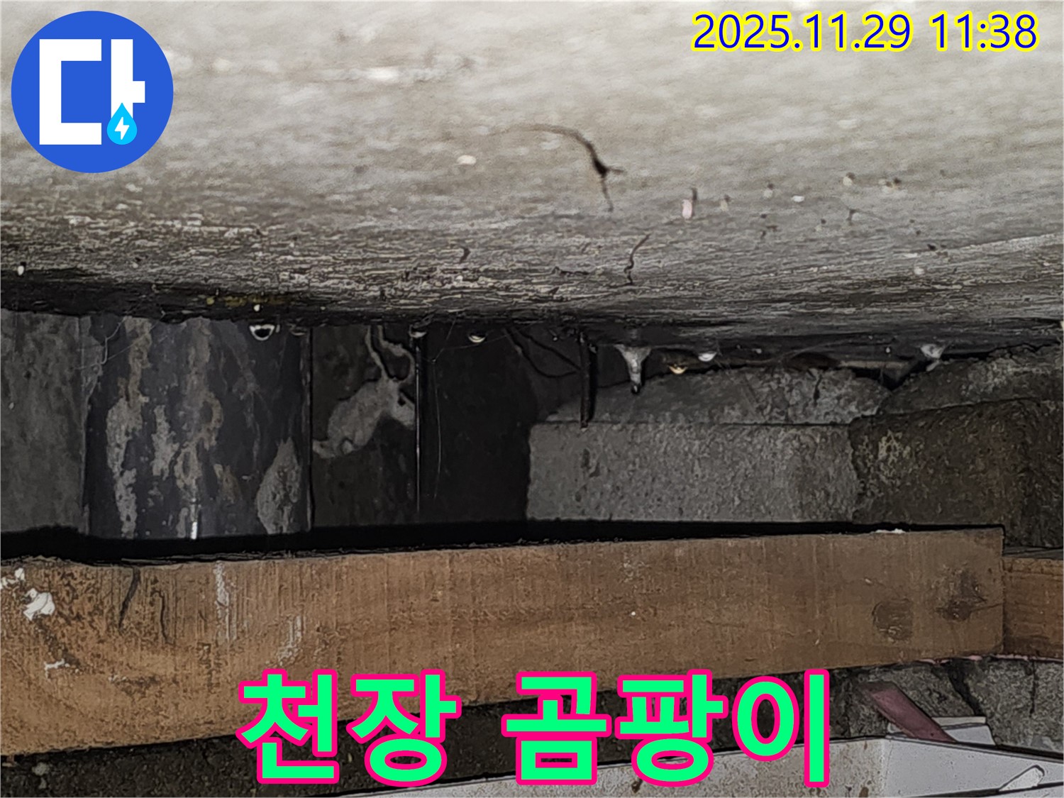 천장에 곰팡이가 핀 모습 - 광탄면 누수