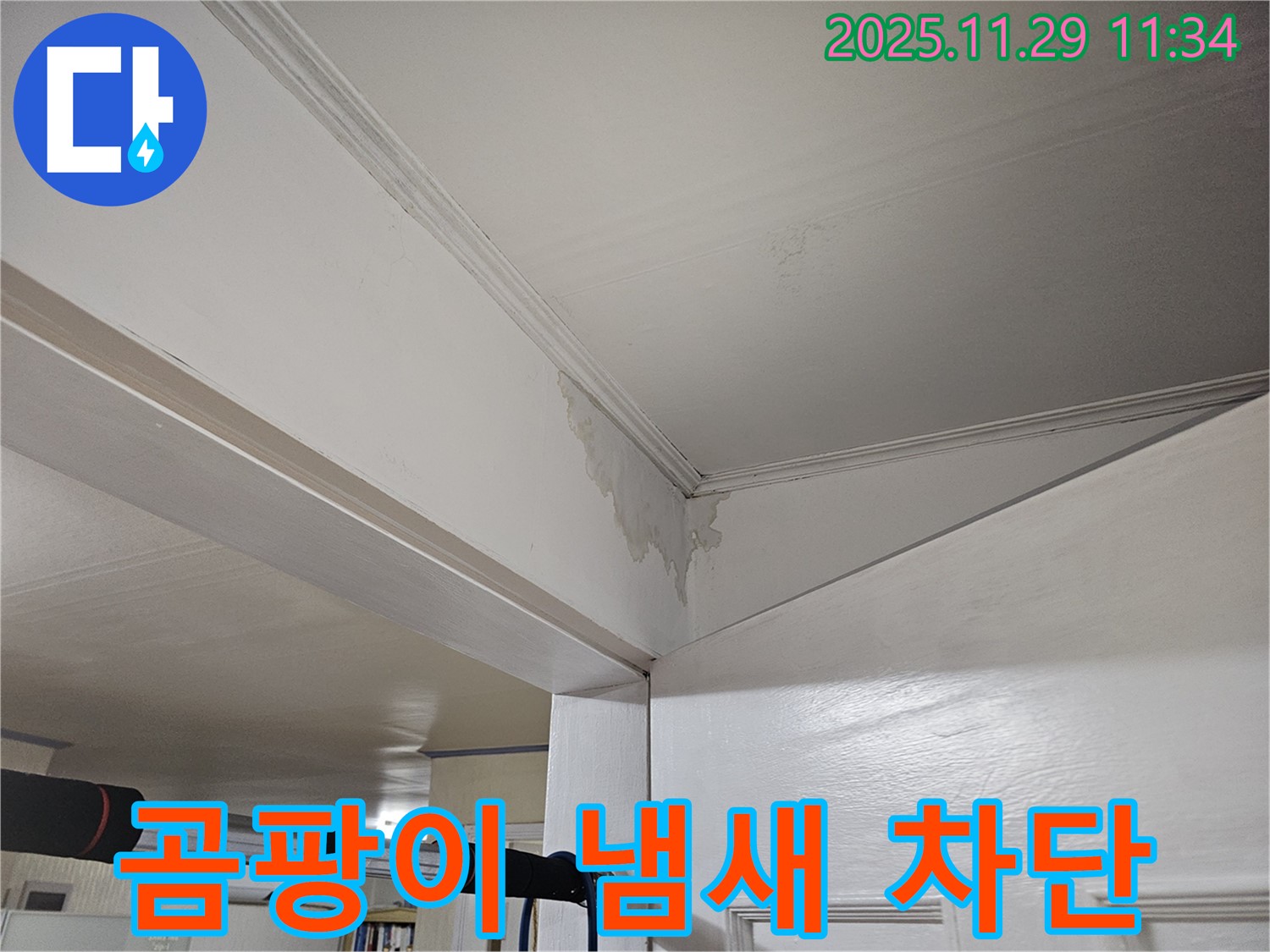 파주 광탄 누수 - 곰팡이 냄새 진동, 완벽 차단 & 쾌적한 공간으로 변신!