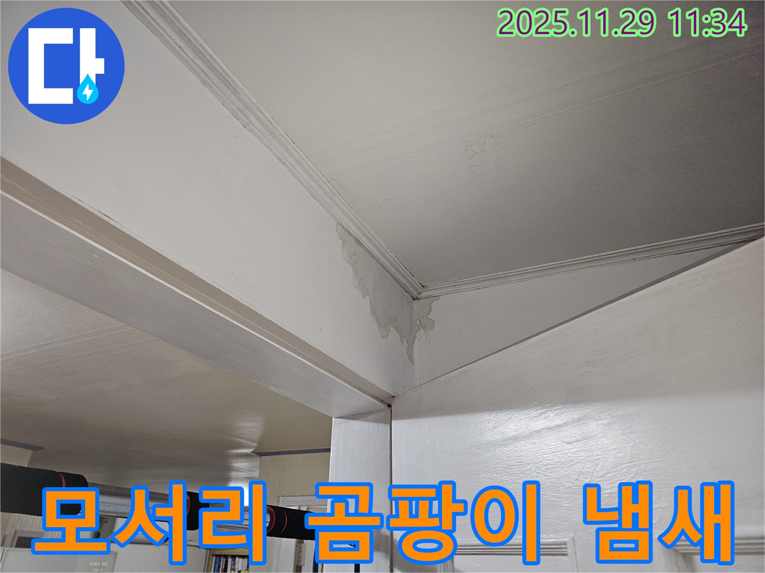 파주 광탄 누수 - 천장 모서리 곰팡이, 냄새까지 싹 잡아드려 쾌적하게!