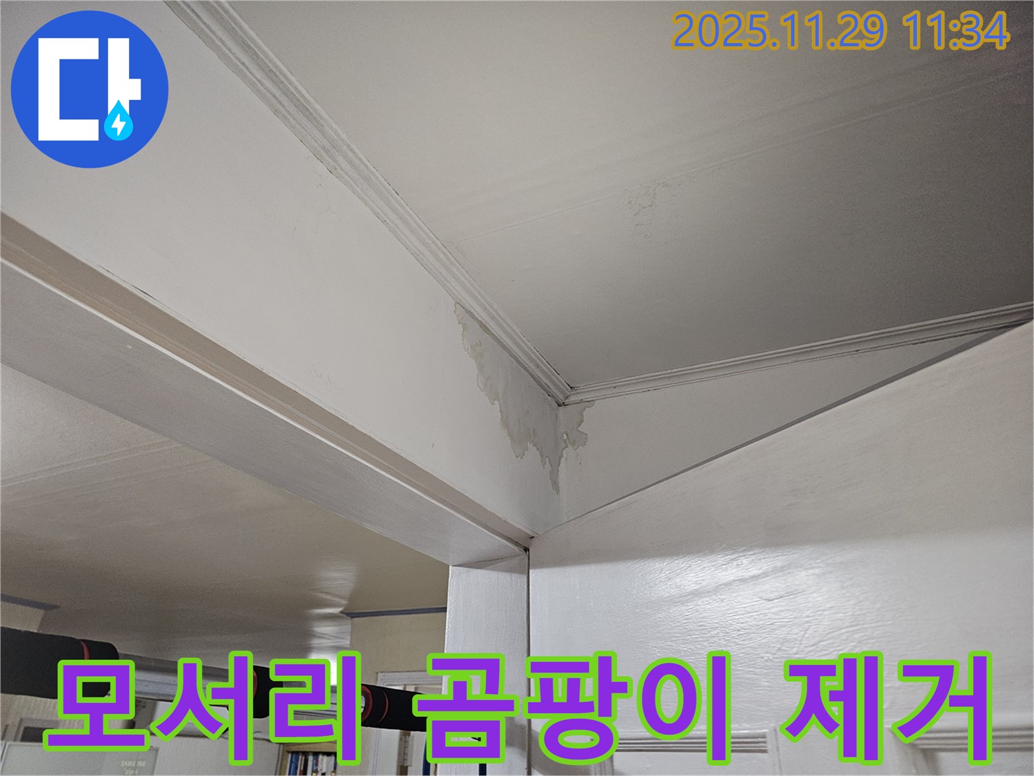 파주 광탄 누수 - 천장 모서리 곰팡이, 완벽 제거 & 재발 방지로 쾌적하게!