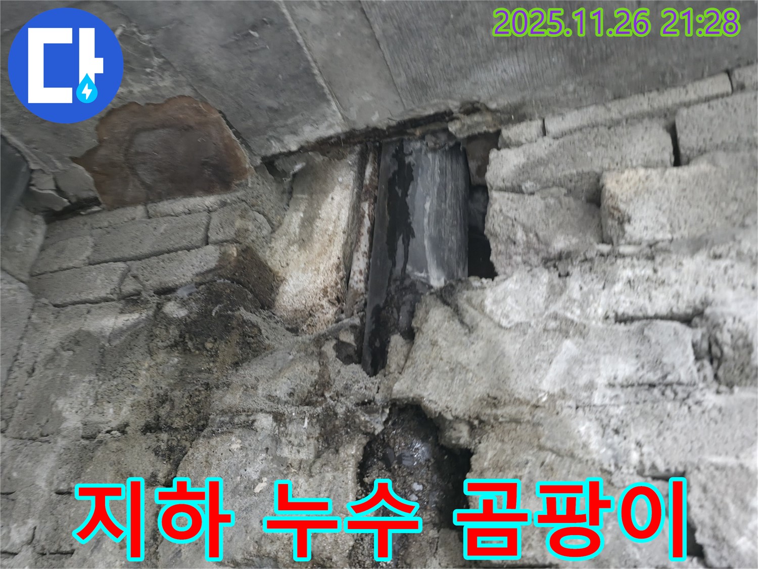 건물 지하 누수 - 습기 및 곰팡이 문제 발생