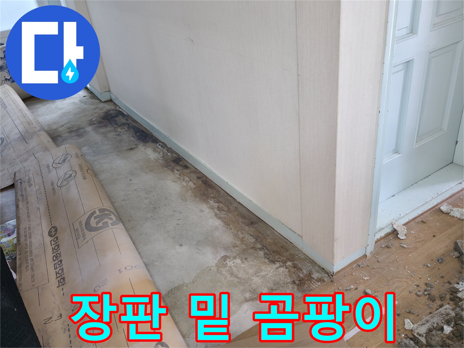 방배동 누수 - 장판 밑에 곰팡이가 심하게 핀 모습입니다.