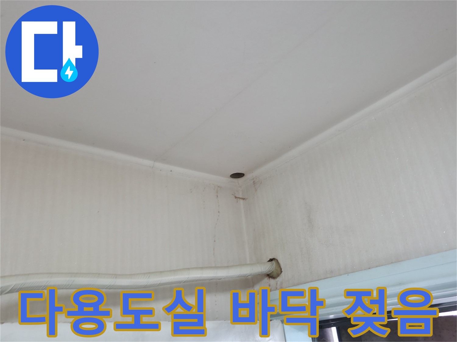 서초2동 341-1 다용도실 누수 - 수도 배관 점검!