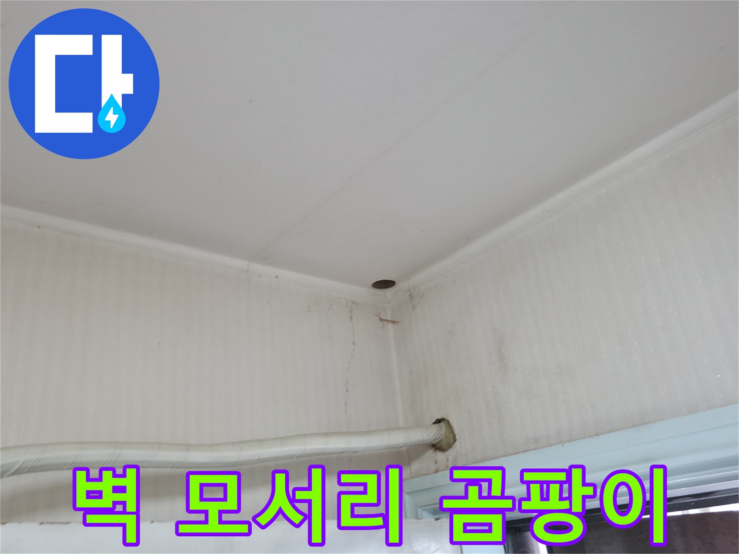 서초2동 341-1 벽 곰팡이 - 건강 적신호!
