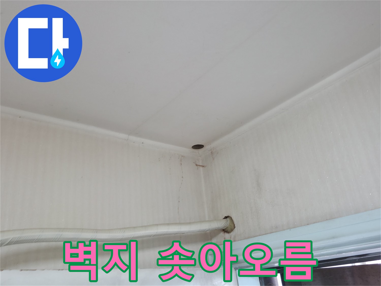 서초구 방배동 누수 복구 - 최소한의 피해로 누수를 해결하고 복구 작업을 진행합니다.