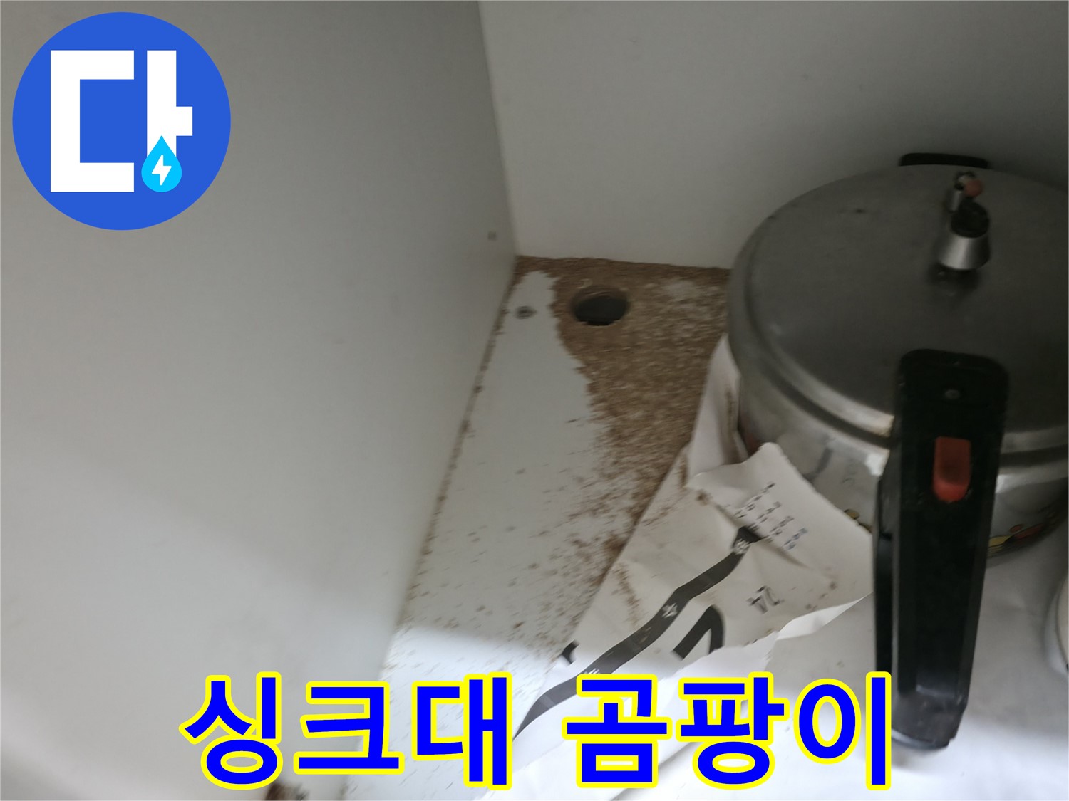서초2동 싱크대 누수 - 곰팡이 발생 및 누수 가능성 점검