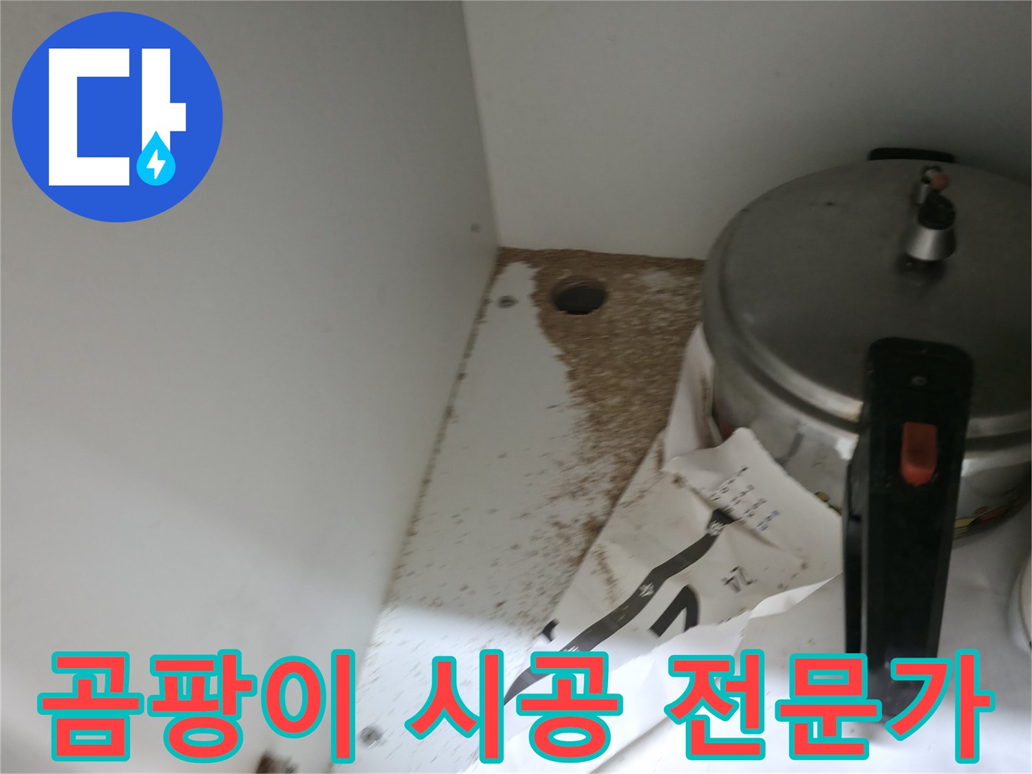 서초2동 싱크대 누수 - 곰팡이 제거를 위한 누수 전문가의 완벽 시공