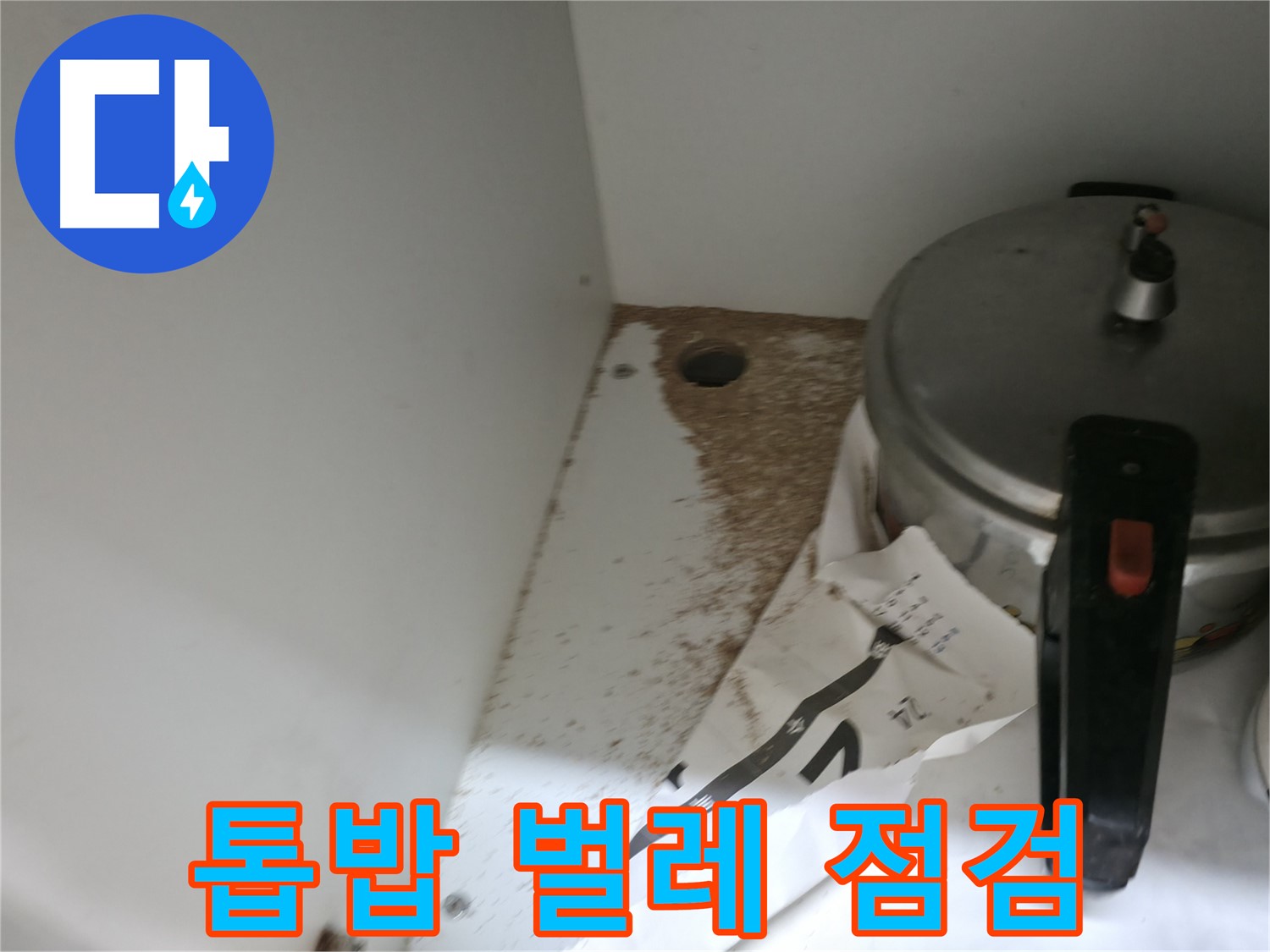서초2동 싱크대 누수 - 톱밥, 벌레 문제 긴급 점검 후 깨끗 해결