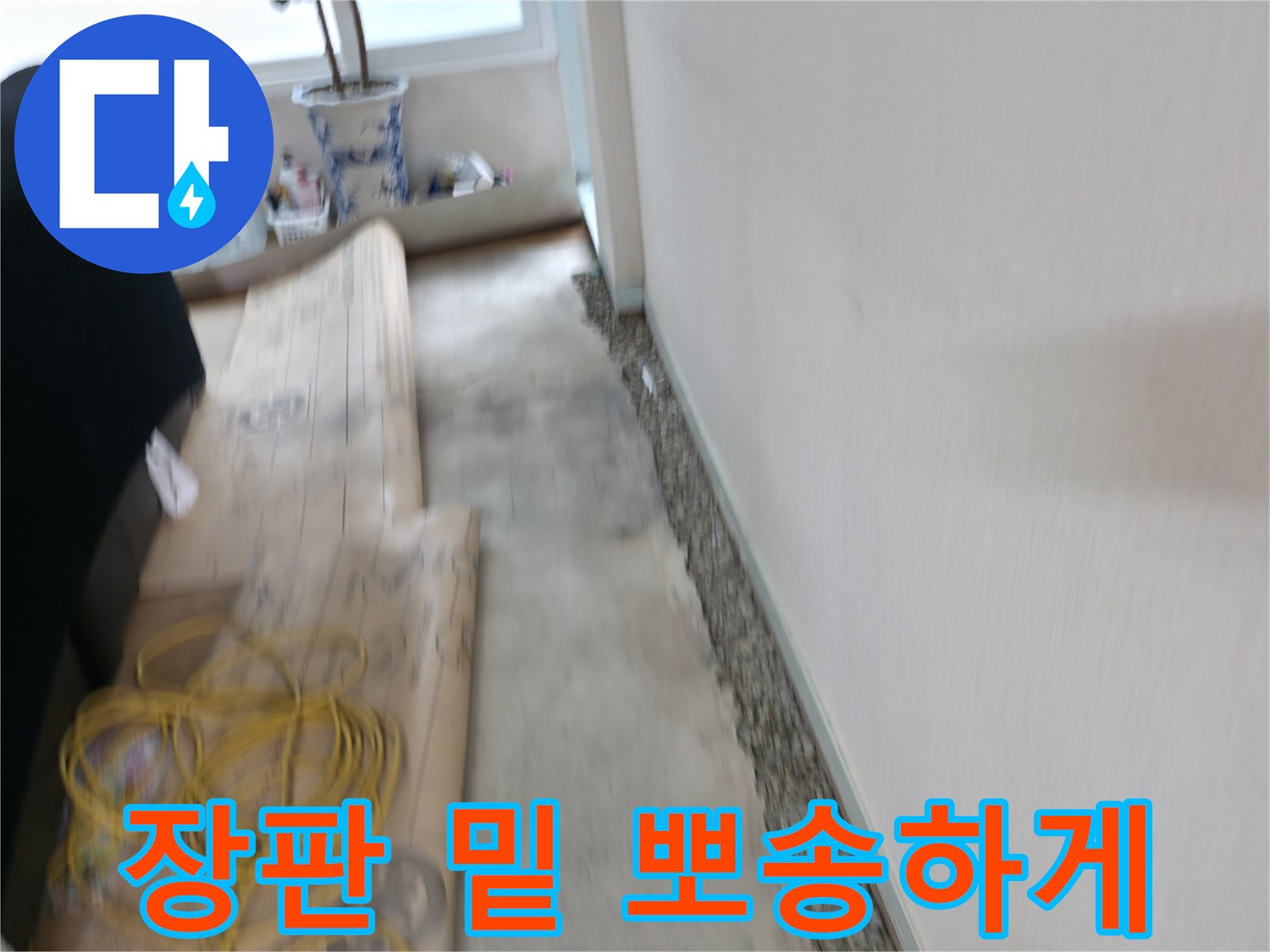 서초2동 장판 밑 습기 제거 - 누수 원인 해결하고 뽀송하게!