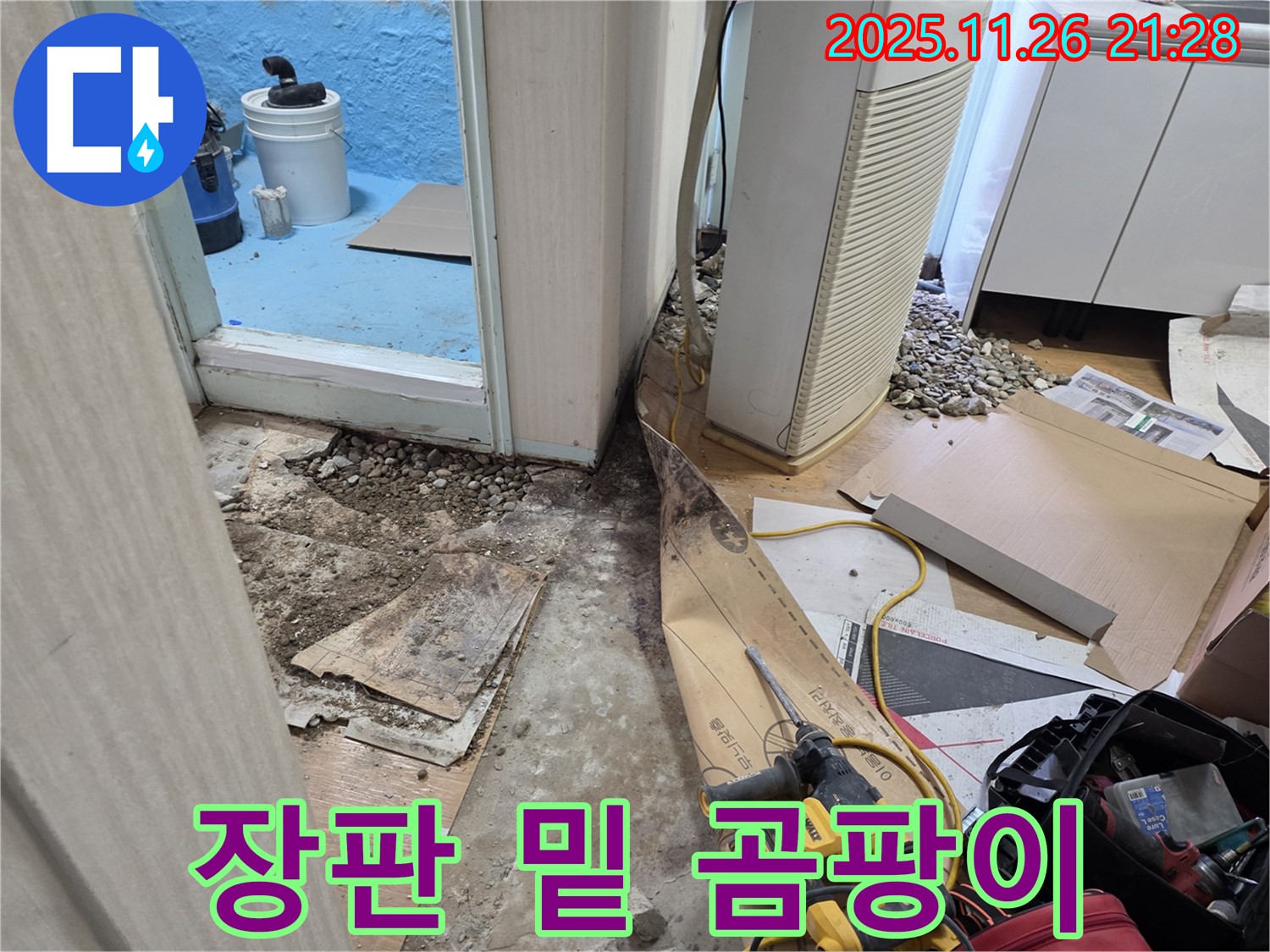 서초구 서초2동 누수 - 장판 밑 곰팡이, 누수의 흔적 발견
