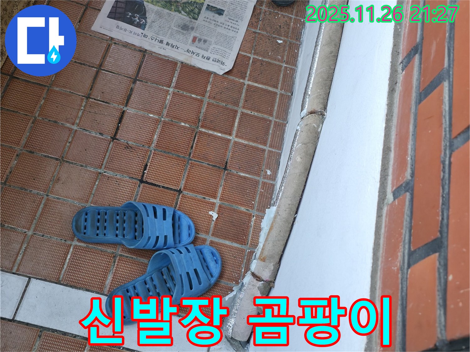 서초구 서초2동 누수 현장 - 신발장 내부 습기로 인한 신발 곰팡이 및 악취 문제