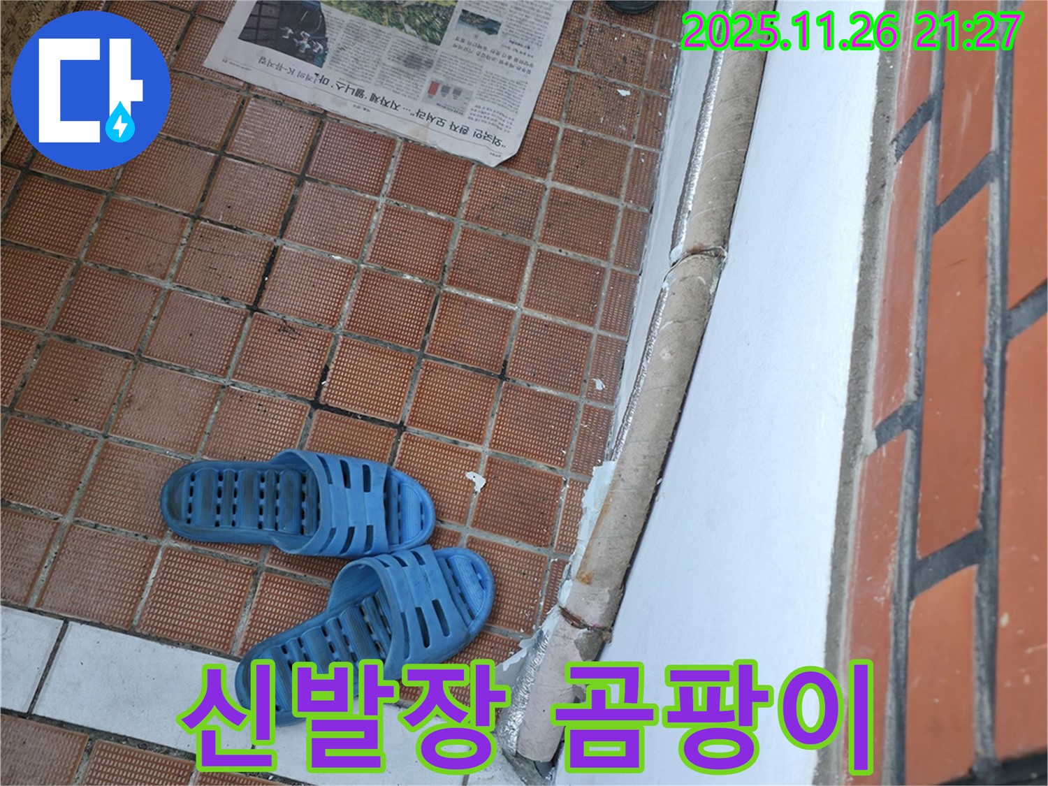 서초구 서초2동 누수 현장 - 신발장 하단 습기로 인한 곰팡이 및 악취 문제