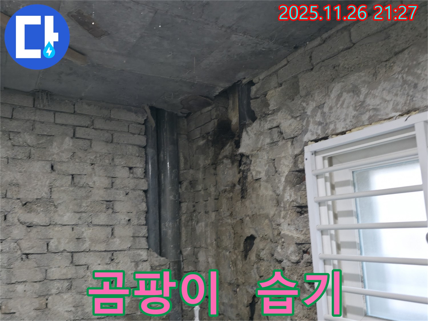 서초구 서초2동 - 주택 내부 곰팡이 문제 - 숨겨진 누수와 습기의 합작품 - 곰팡이 문제 해결