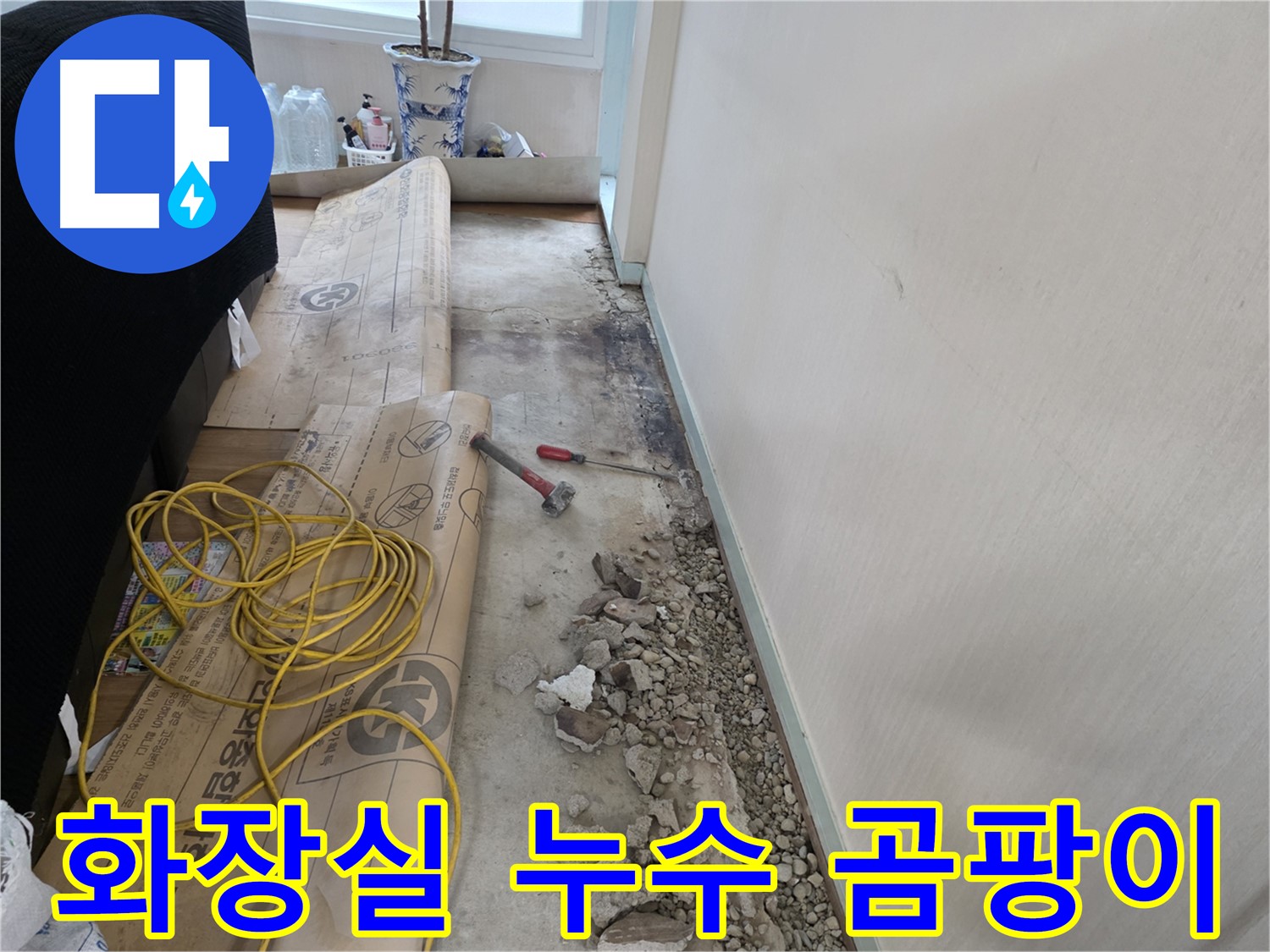 서초구 서초2동 화장실 누수 - 곰팡이 문제 해결